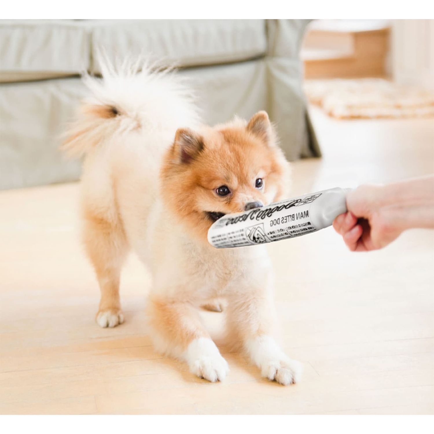 GabeFish 2PCS Funny Dog Chew Toys, Newspaper Dog Toy, 6.2 x 2.1-in (16 x 6.5 cm), Durable Squeak Toy for Dogs