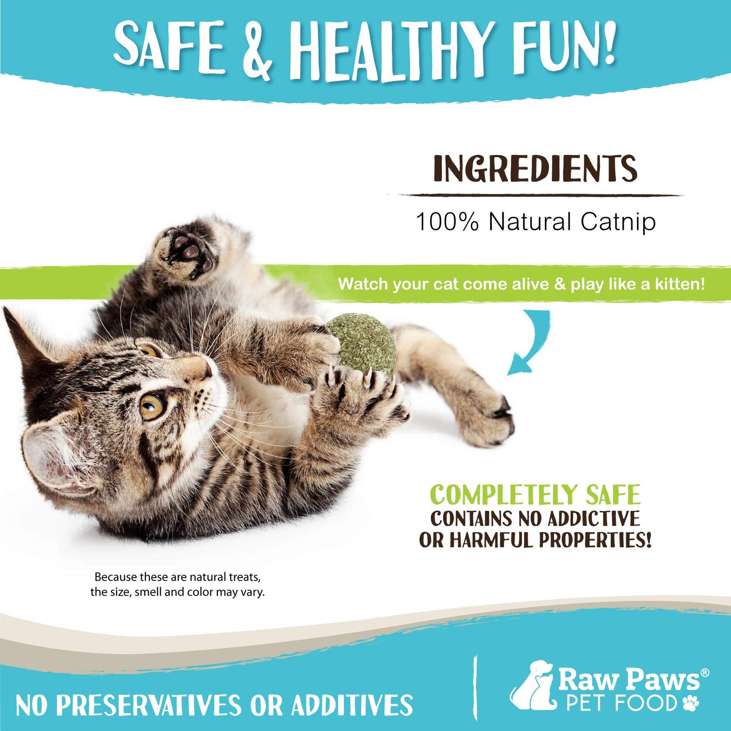 Raw Paws Catnip Balls, 6 ct - Interactive Cat Toy for Indoor Cats - Cat Ball Toy - Kitten Toys - Cat Nip Ball Cat Toy - Cat Lick Ball - Cat Nip Cat Toys - Natural Catnip Ball for Cats of All Breeds