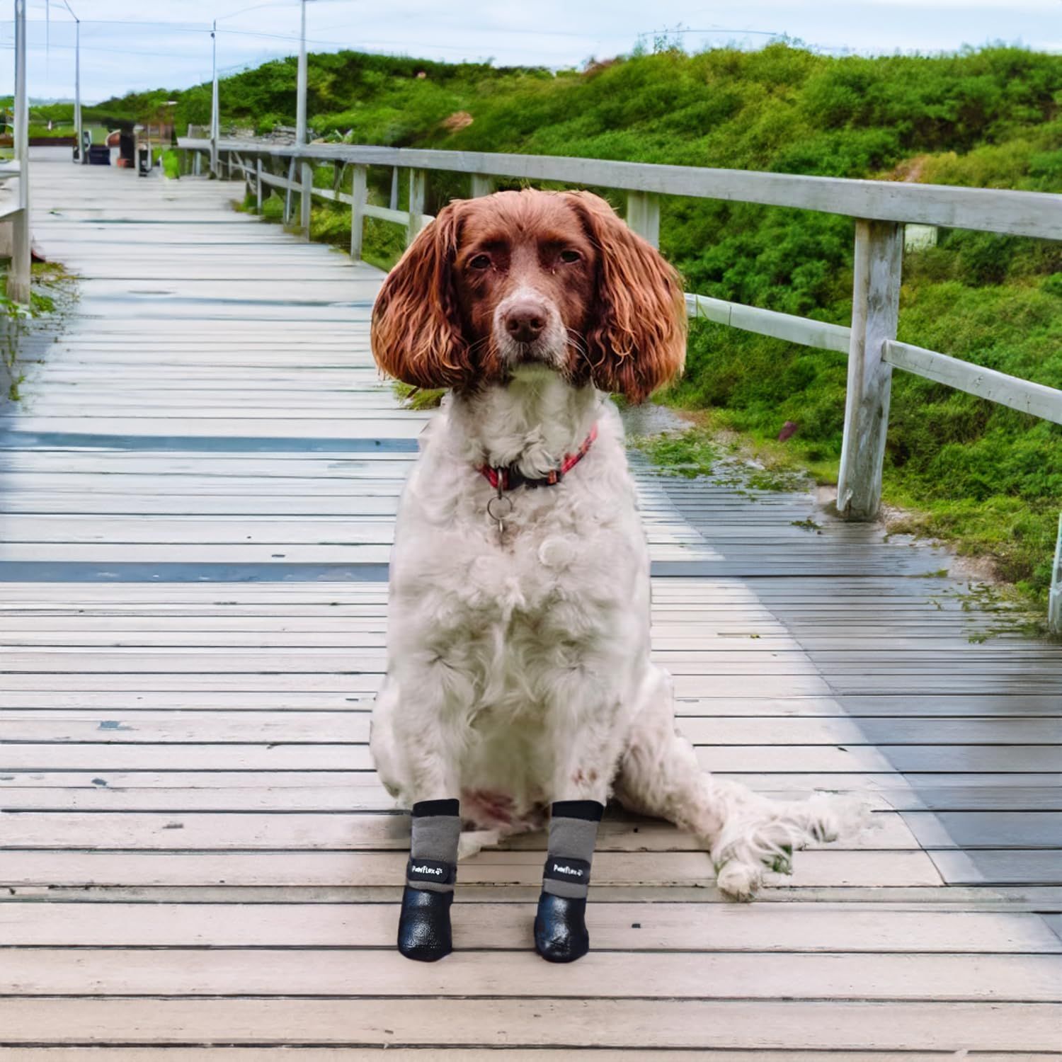 PawFlex Double Dipped Waterproof Dog Socks Comfy Pawz Soft Indoor/Outdoor Dog Booties with Rubberized Bottom| Non-Slip Silicone Grip at Inner Cuff for No Twisting or Sliding Off| Adjustable Strap