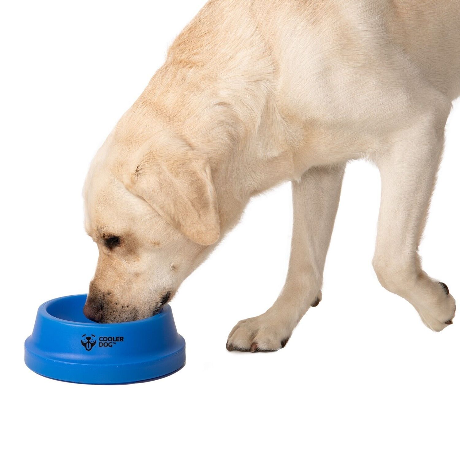 CoolerDog Freezable Dog Bowl