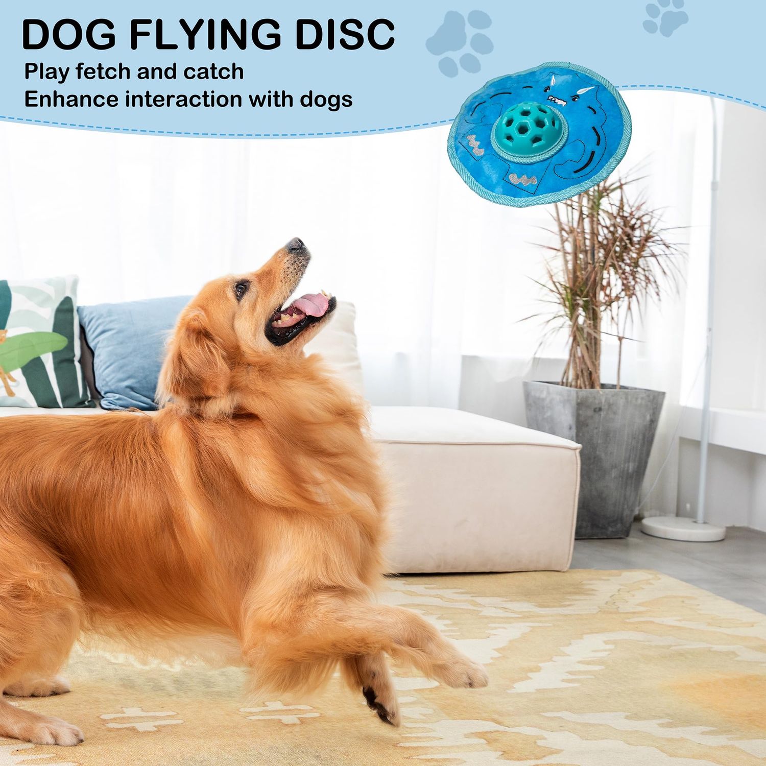 Chasinto 3 in 1 Flying Discs Squeaky Toy for Dogs Halloween Dog Toys Fetch Play Ball Outdoor Fun Game Treat Toy for All Breeds