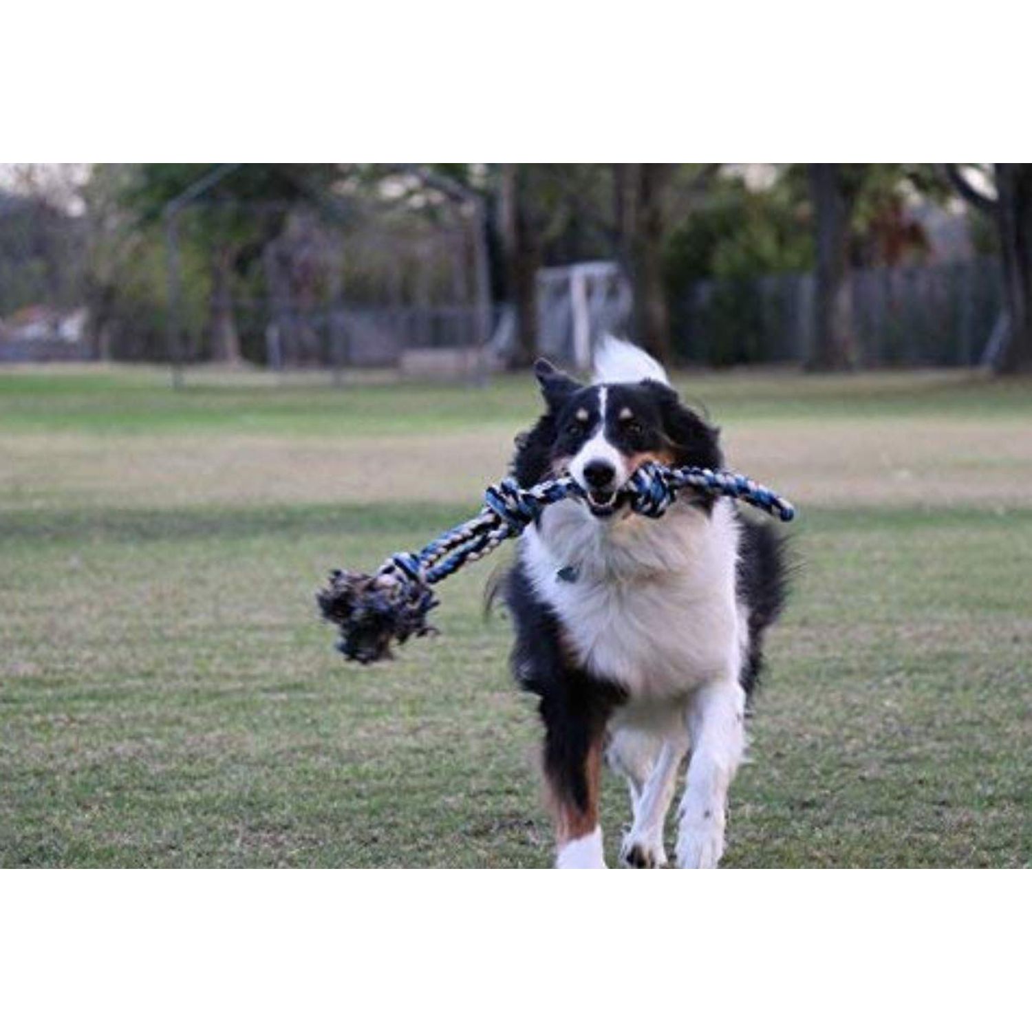 XL Dog Rope Toy for Aggressive Chewers - Dog Toy, Benefits Non-Profit Dog Rescue, Large Dog Toys, Durable Dog Toys for Aggressive Chewers, Nearly Indestructible Dog Toys for Aggressive Chewers, Blue