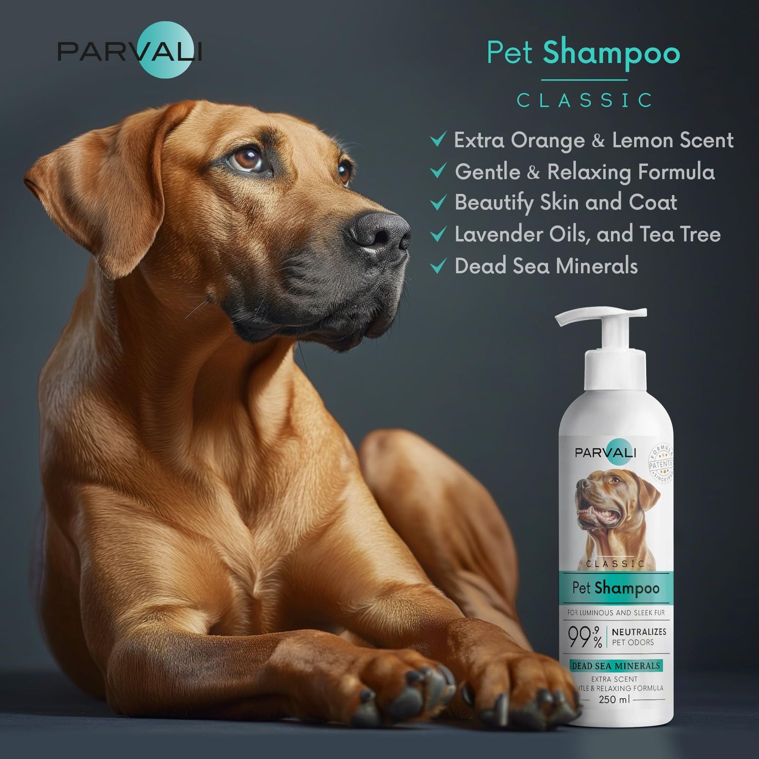 PARVALI Natural Dead Sea Classic Dog Shampoo (250 ml, 8.45 fl oz). Unique Odor-Neutralizing Blend, Minerals Rich, Anti-Oxidative, Antiseptic, and Calming Formula for Gentle and Easy Application.