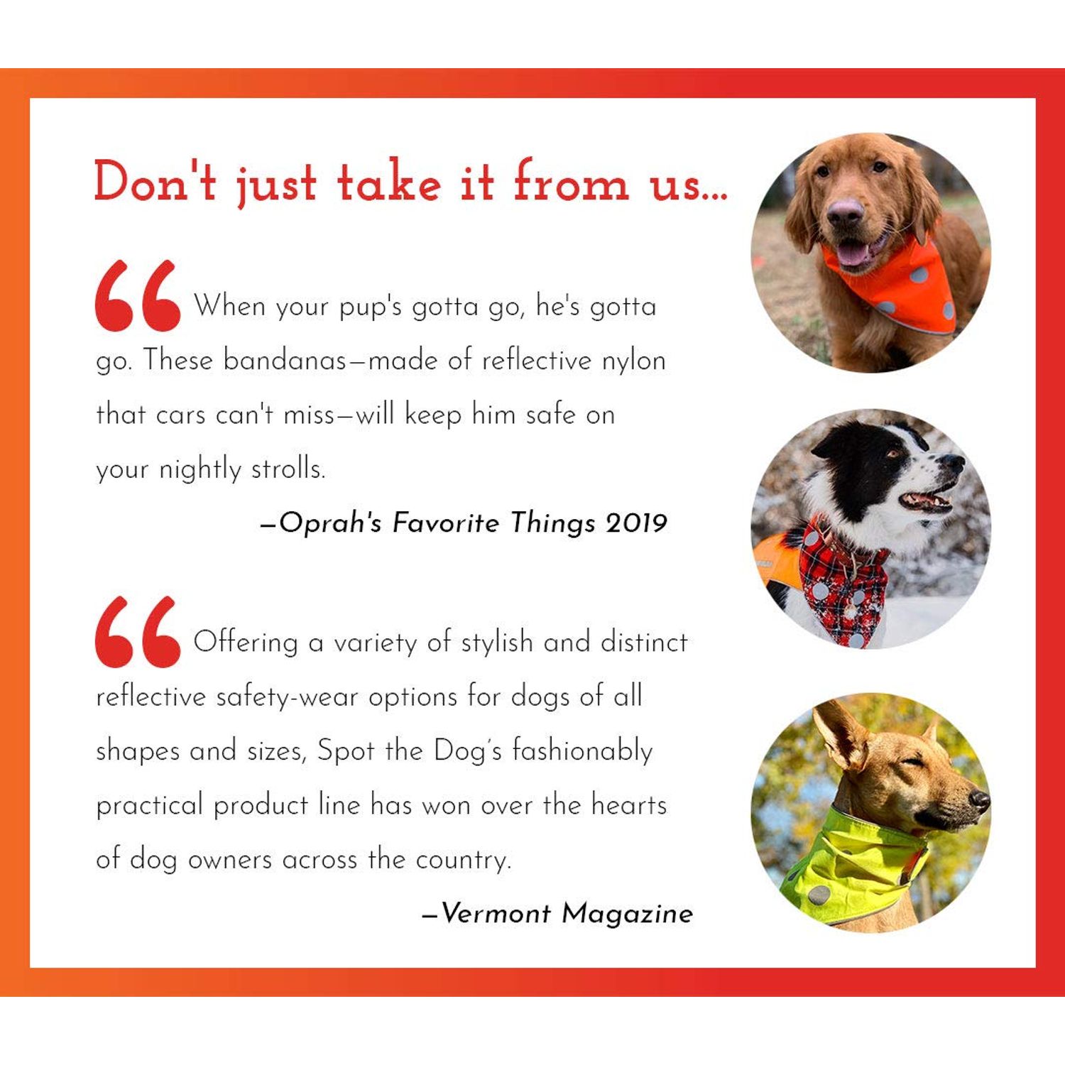 SPOT THE DOG! Reflective Dog Collar - Adjustable Pet Collars, Safe, Durable, Comfortable Dog Walking Accessories for Small Dog, Hunting Dog, Puppy, Lightweight Boy, Girl Dog Collars (Blaze Orange, S)