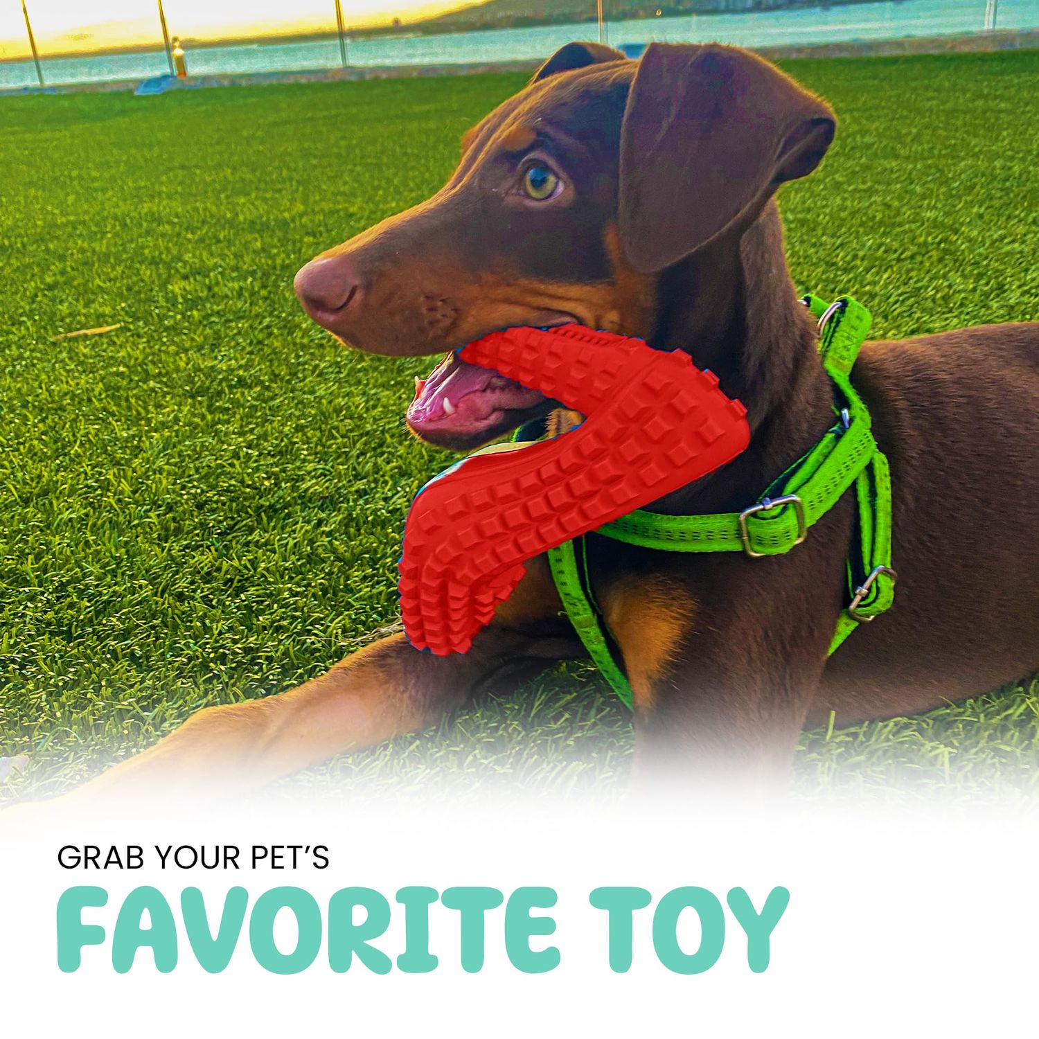 Dog Chew Toys for Aggressive Chewers - Treat Dispensing Chew Shoe Interactive Small Medium Dog Puzzle Toys, Dog Chew Enrichment Toys for Boredom and Brain Stimulating Game Keeps Them Engaged