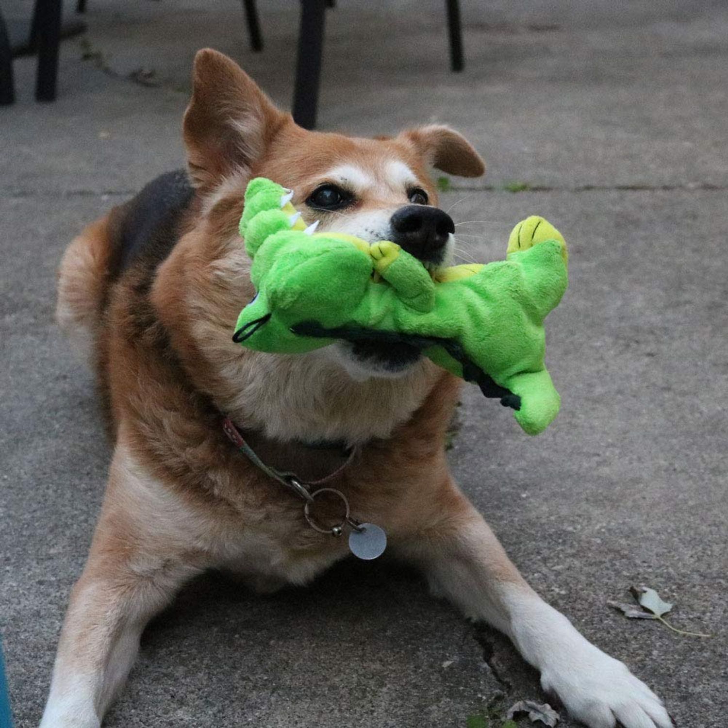 SmartPetLove Snuggle Puppy Tender-Tuffs Easy Grab - Plush Dog Toys - Standing Stuffed Green Crocodile with Tough Puncture Resistant Squeaker