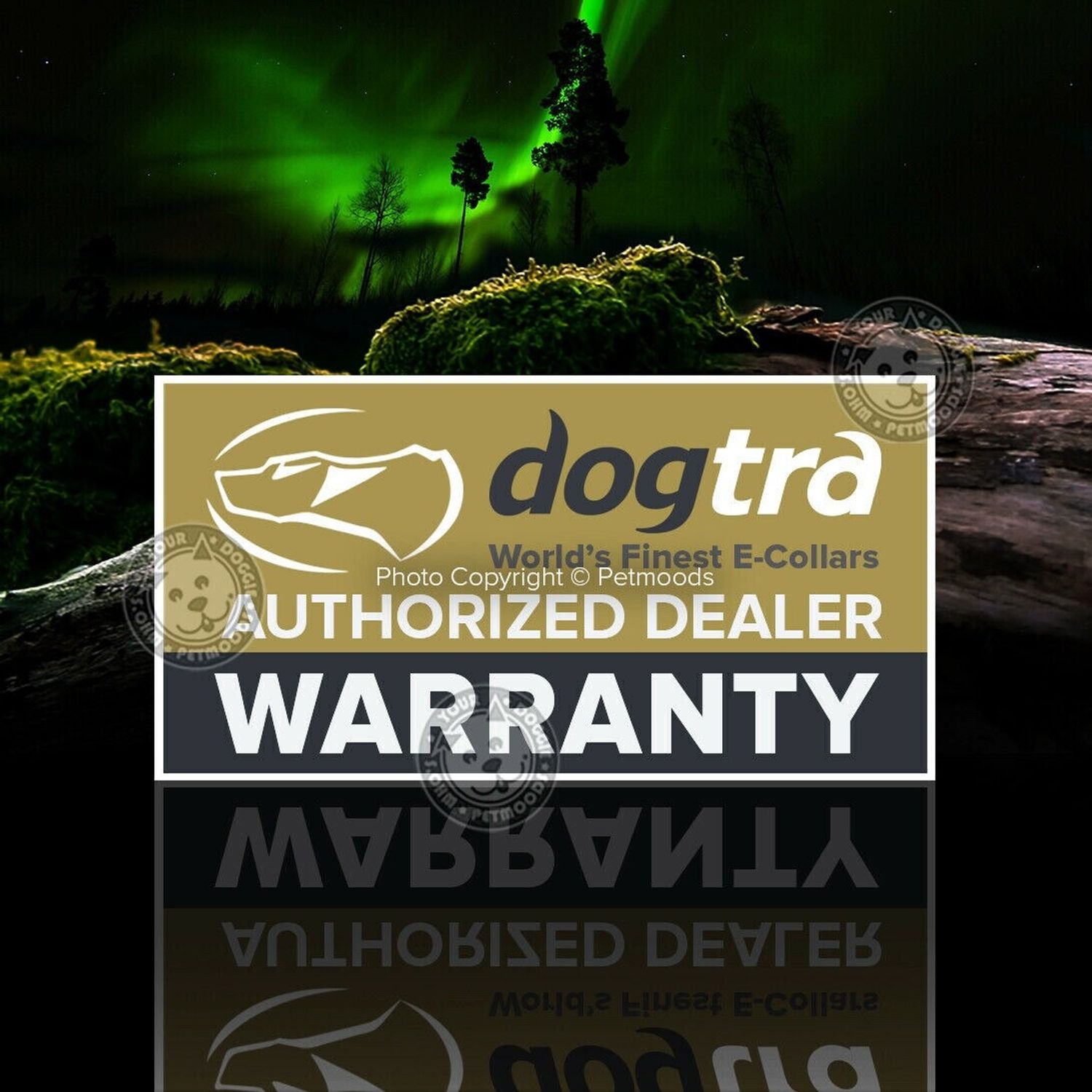 Dogtra iQ Vibe Vibration Only No Bark Dog Collar Rechargeable Waterproof