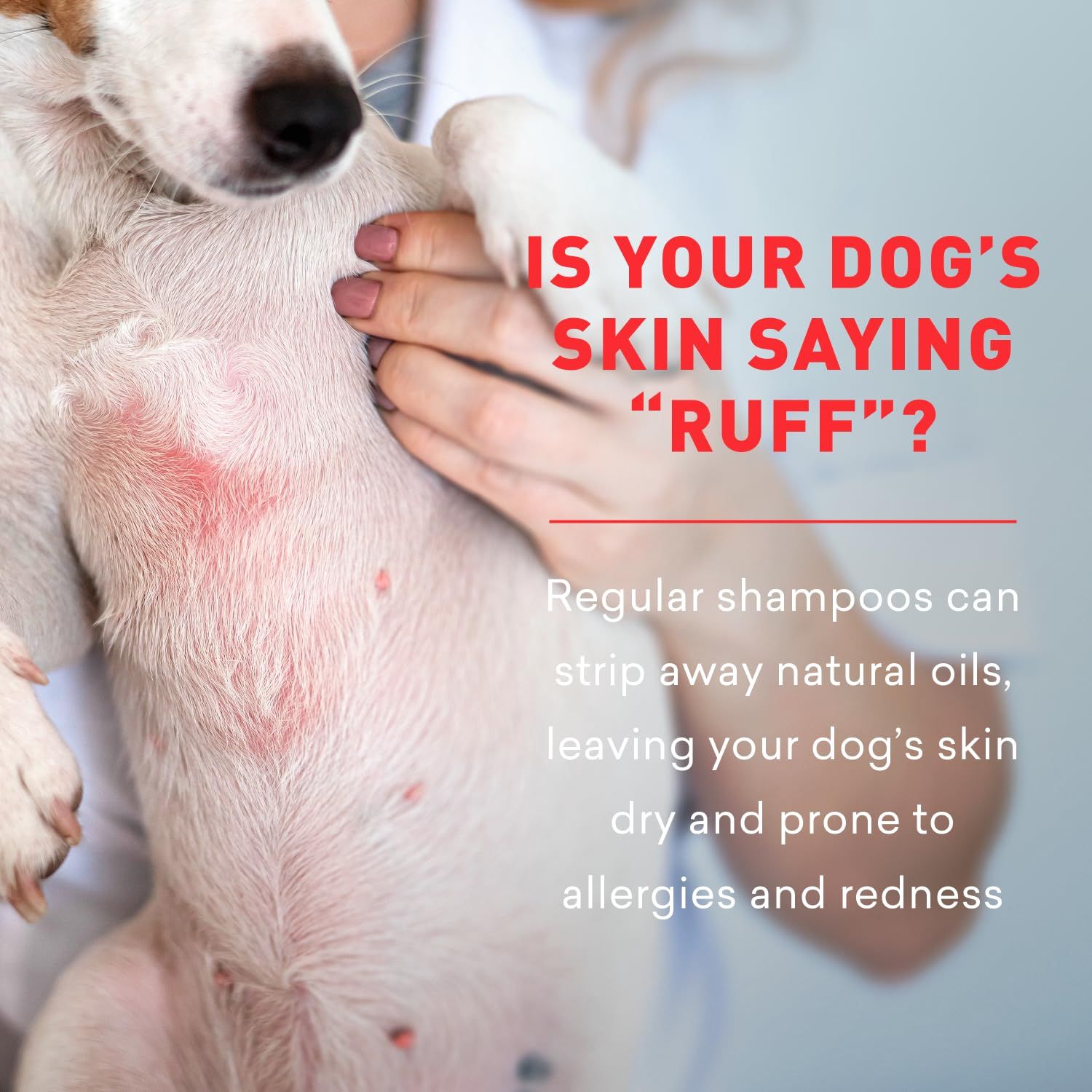 Dog Vinegar Rinse Cleanser | Best Dog Coat and Skin Cleanser | Helps Reduce Itchy and Scratching | Skin Calming | Natural Ingredients | Just Nutritive | 16 fl oz