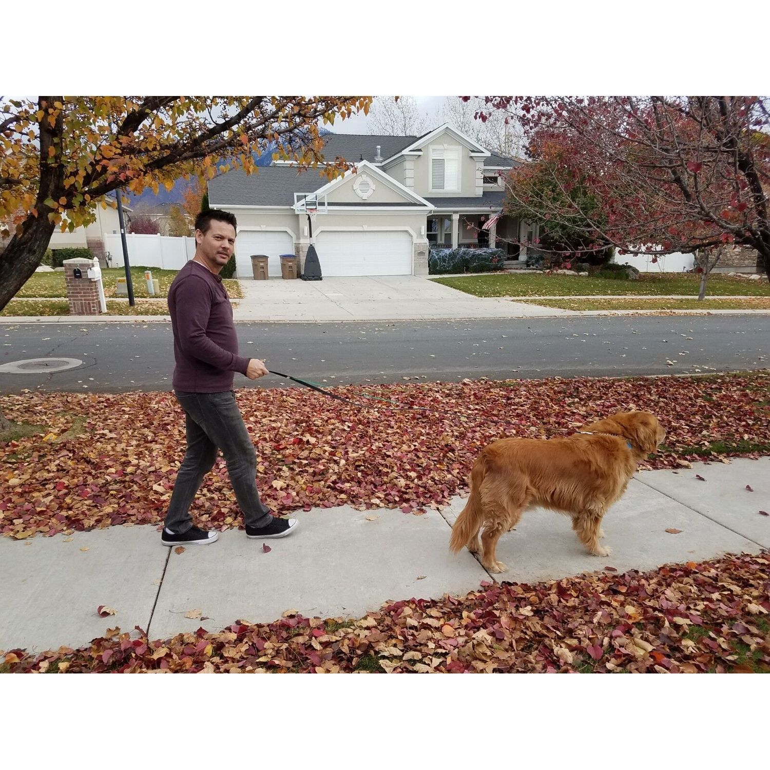 LEASH ALI,  Keeps your pet leash tight so your pet does not get tangled in it.