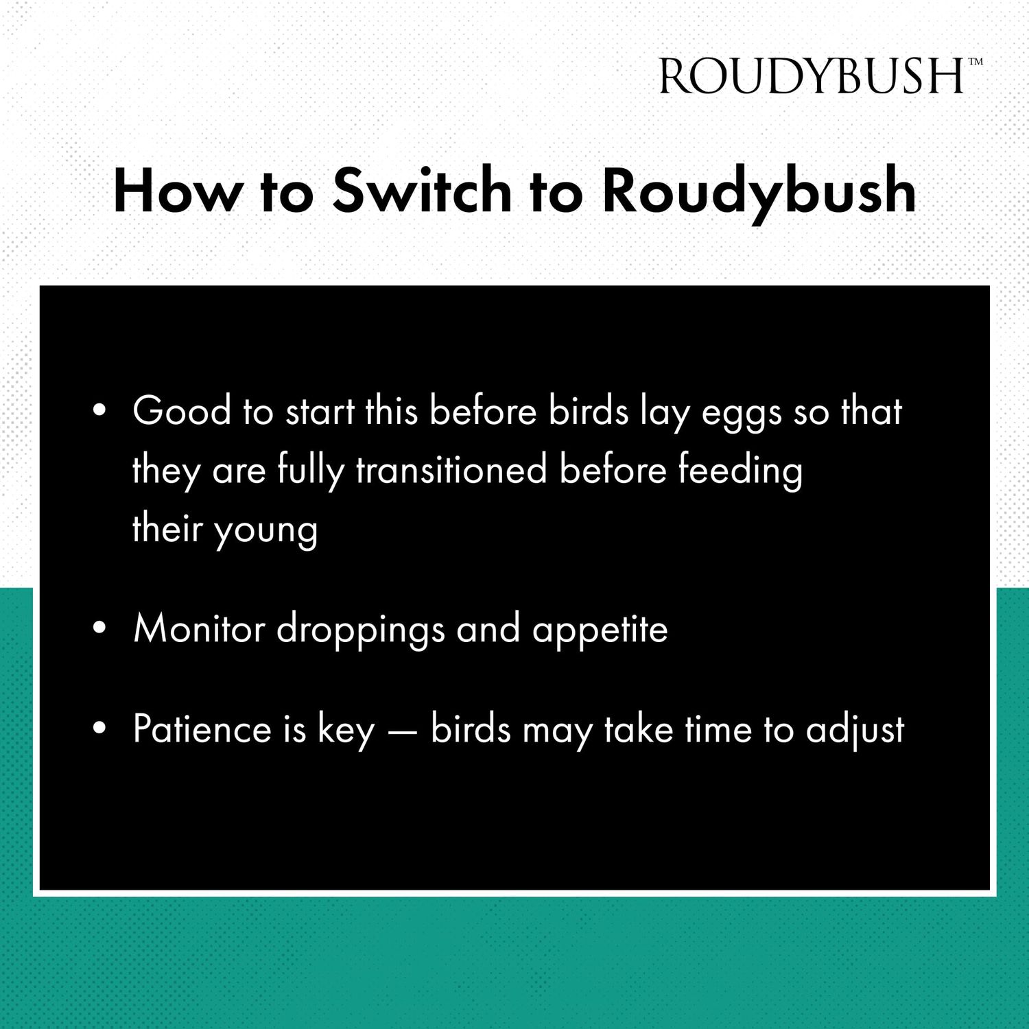 Roudybush High Energy, Nibbles Bird Food, 25-Pound