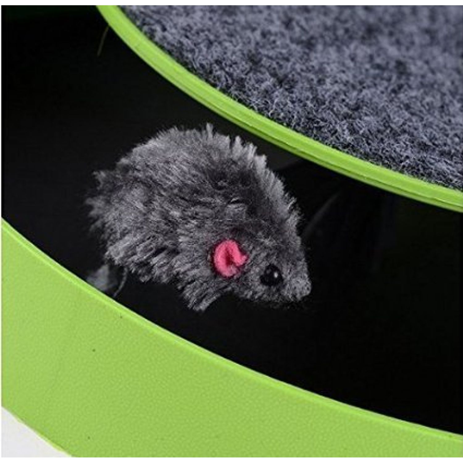Catch the Mouse Motion Cat Toy Incredibly Fun to Play With and Amusing to Watch