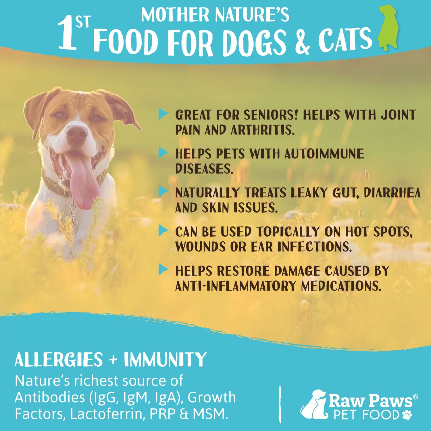 Raw Paws Pet Bovine Colostrum for Dogs Allergies & Immune Support, 5-oz - Made in USA - Colostrum for Cats - Senior Dog Supplements - Itchy Skin Treatment - All Ages, Sizes & Breeds