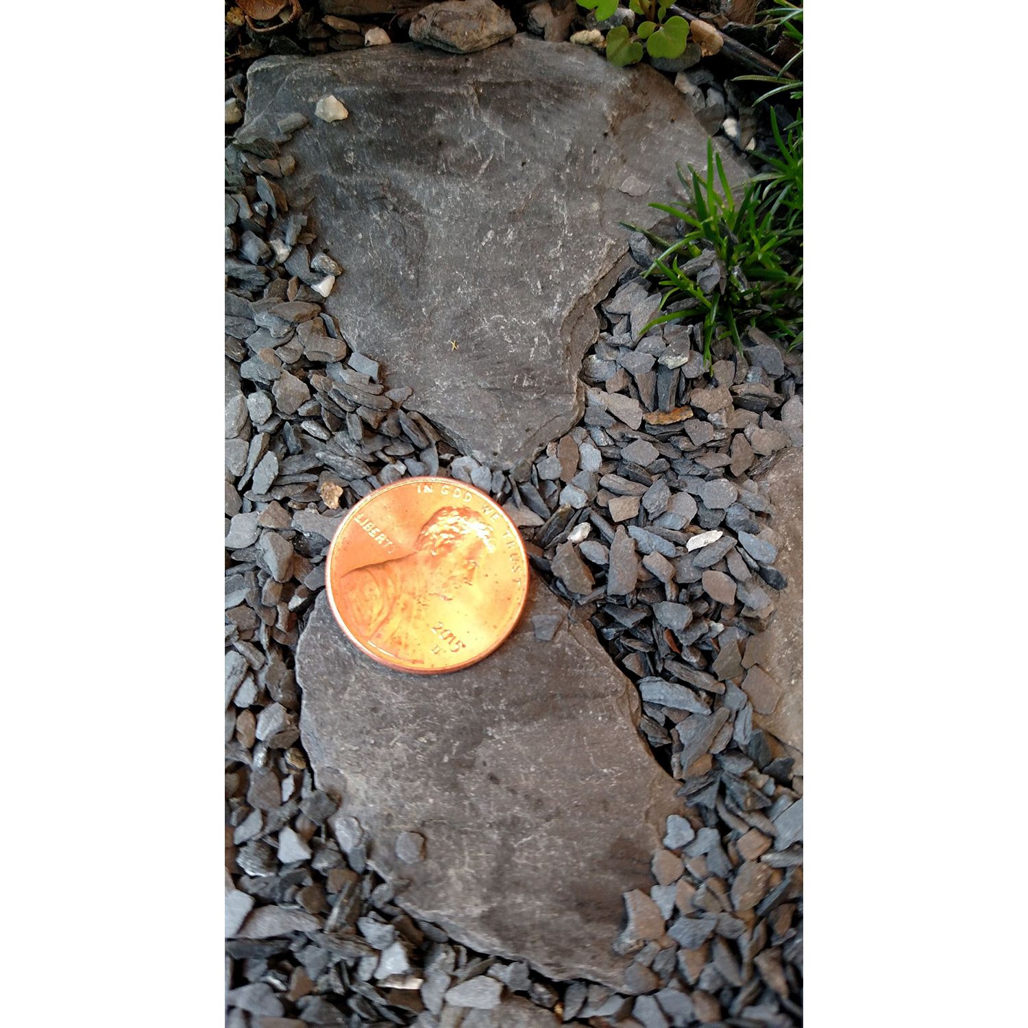 Natural Slate Stone - Less Than 1/8 inch Slate Gravel for Miniature or Fairy Garden, Aquarium, Model Railroad & Wargaming 8oz