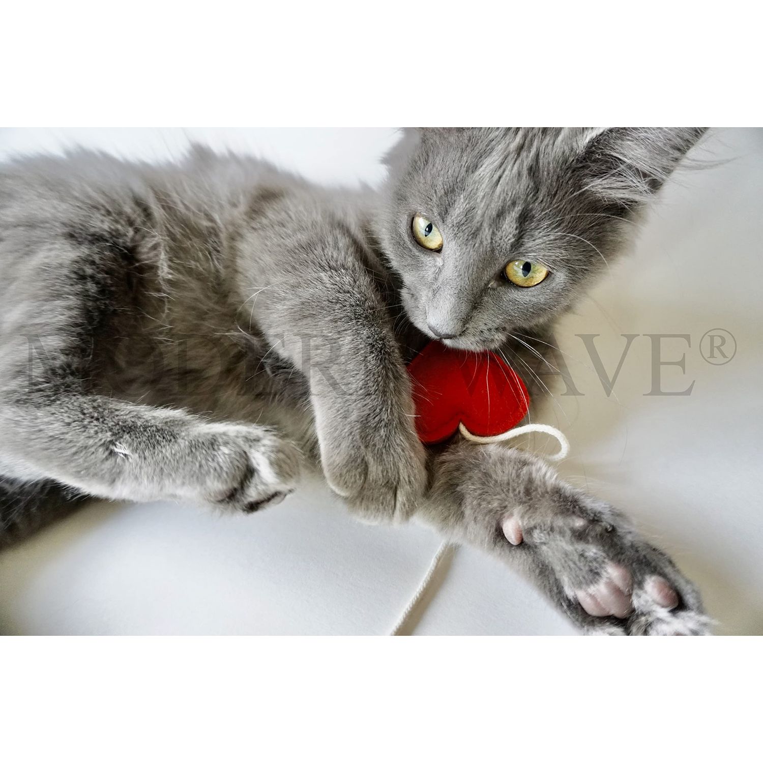 MODERN WAVE - Catnip Handmade Kittens Cats Toys Collection in Gift 4-Pack Box (Felted Fish, Lama, Knitted Mouse with Bell, Cat Heart Teaser)