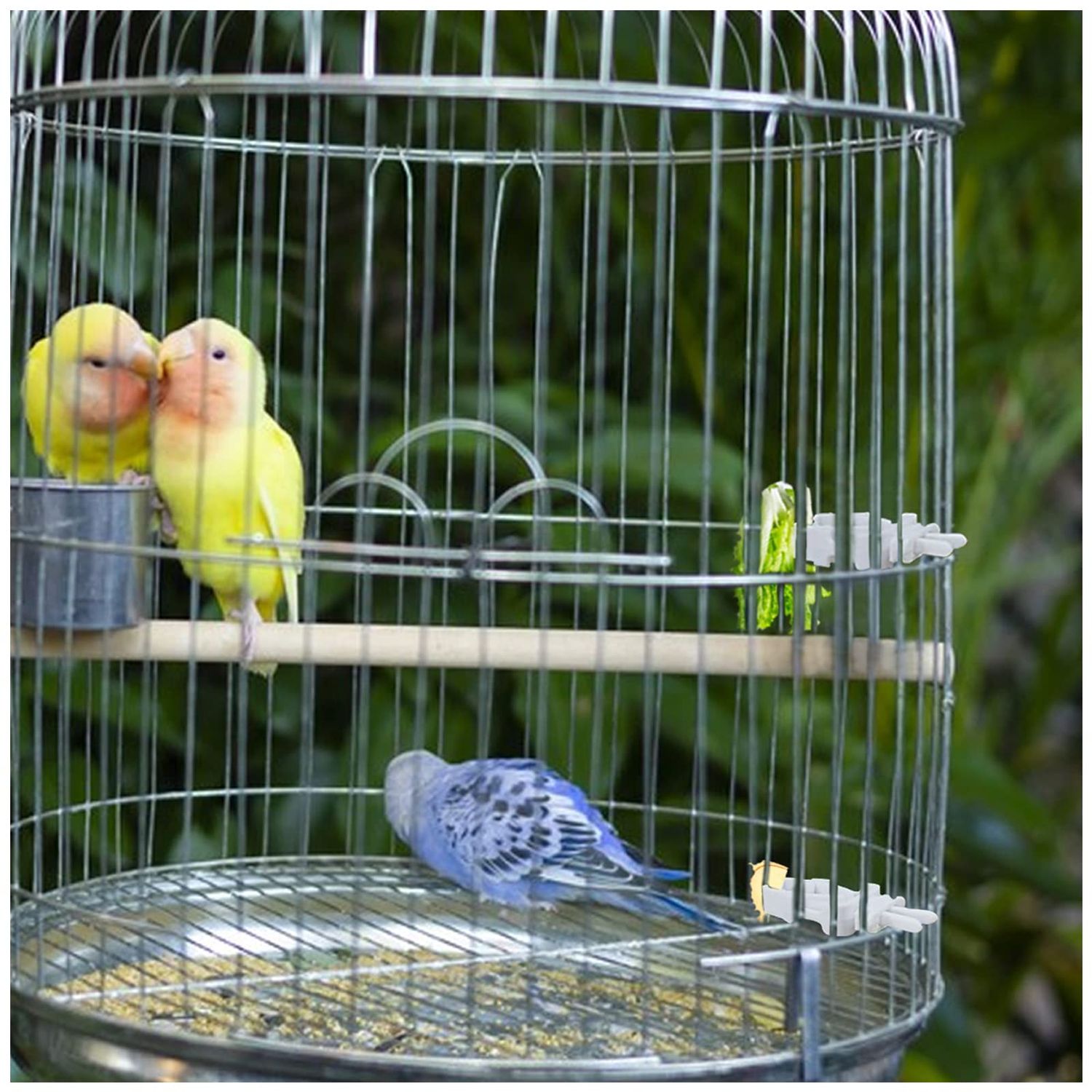 WishLotus Bird Cage Feeding Clips, 4 PCS Plastic Durable Parrot Fruit Vegetable Clips Bird Cage Food Holder Mini Birdcage Feeder for Pet Birds and Parrot Feeding Birdcage Accessories (A)