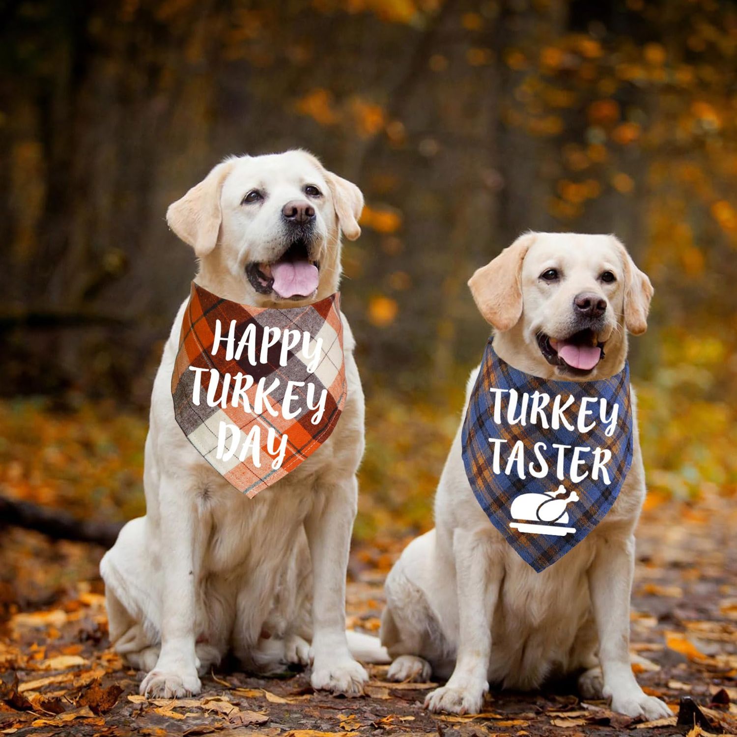 STMK 3 Pack Thanksgiving Day Dog Bandanas, Holiday Fall Thanksgiving Dog Bandanas Scarf for Small Medium Large Dogs (Large)