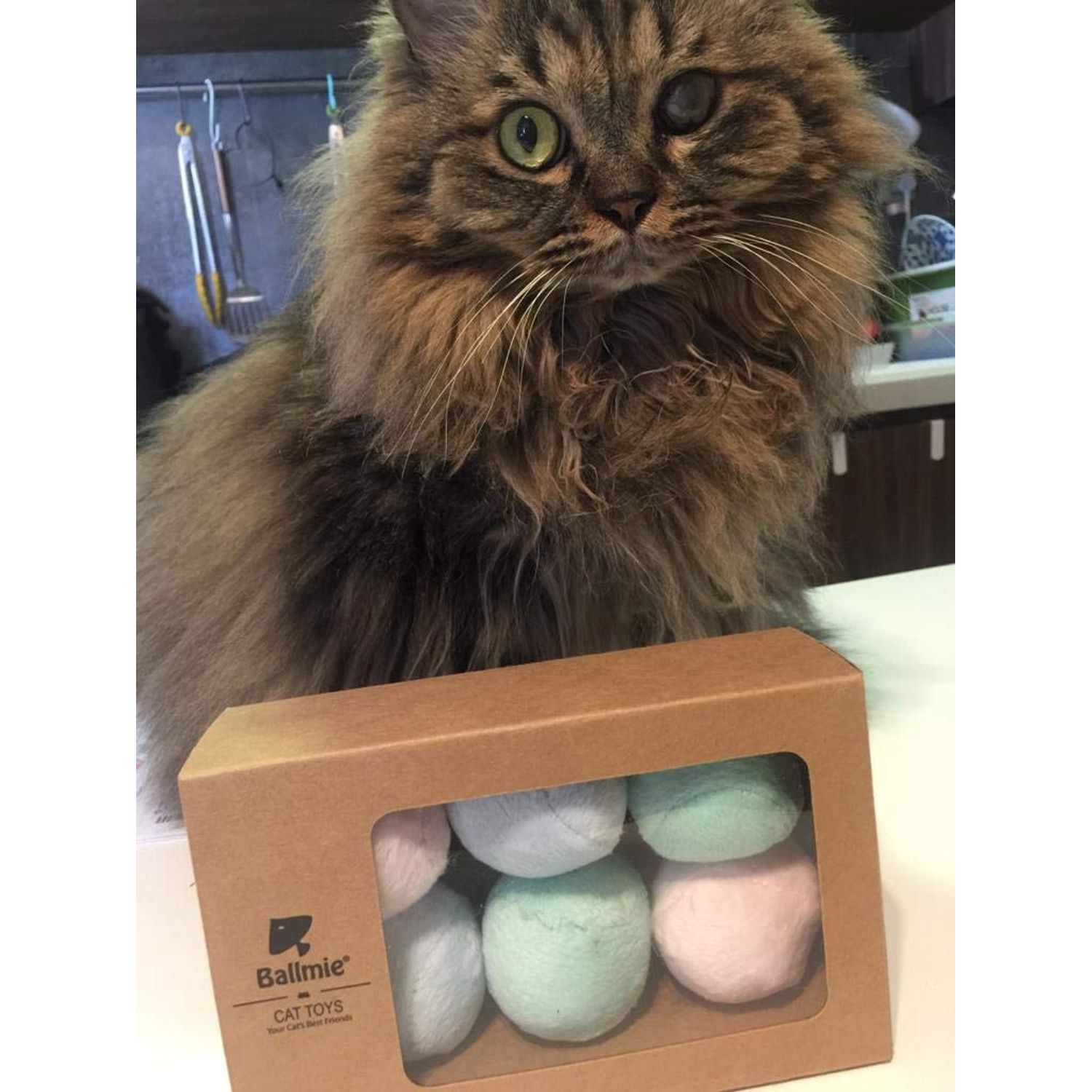 BALLMIE Cat Toys Ball Cat Toys Balls with Bell Eco-Printing Baby Clothing