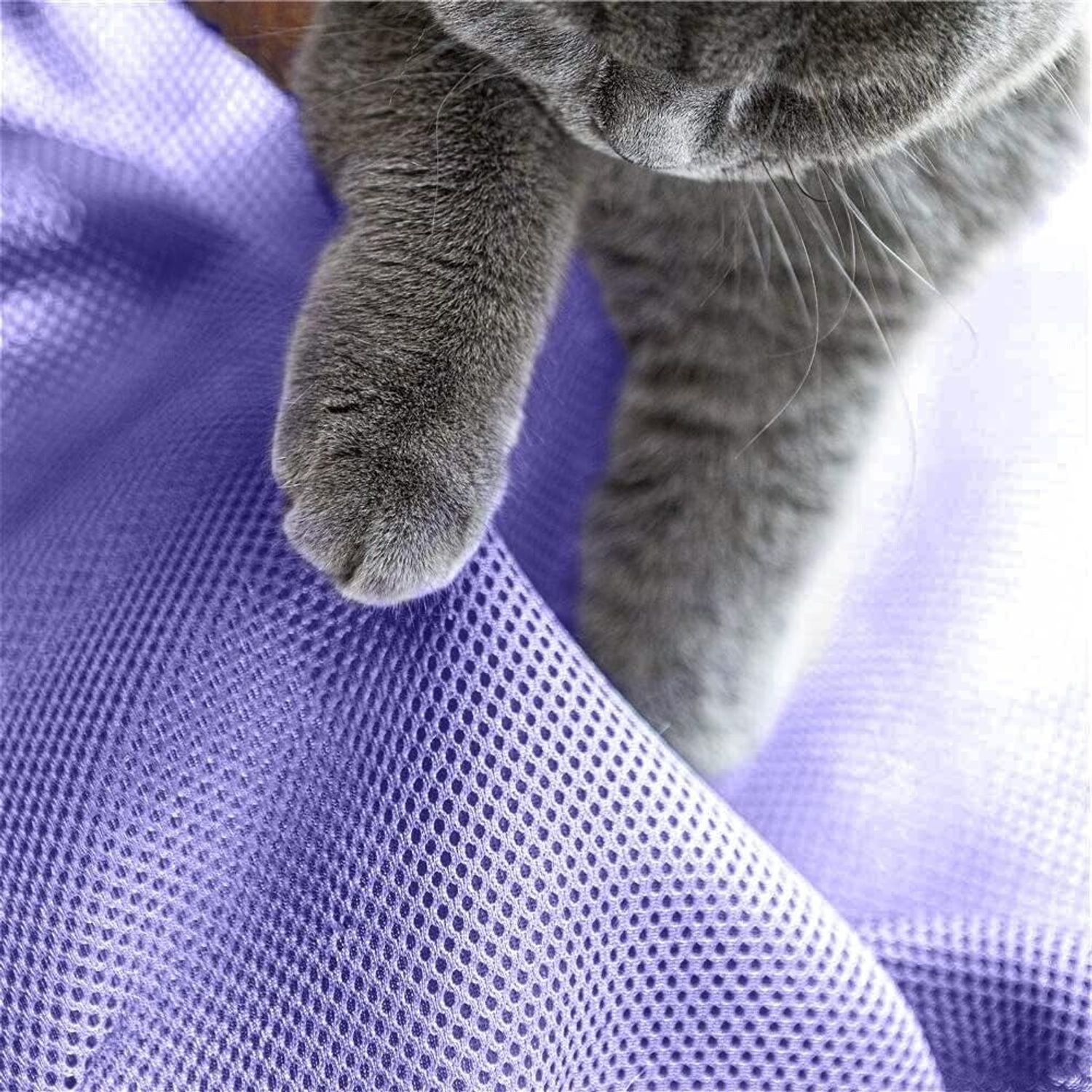 at Bed Dog Bed Pet Hammock Bed Free-Standing Cat Sleeping