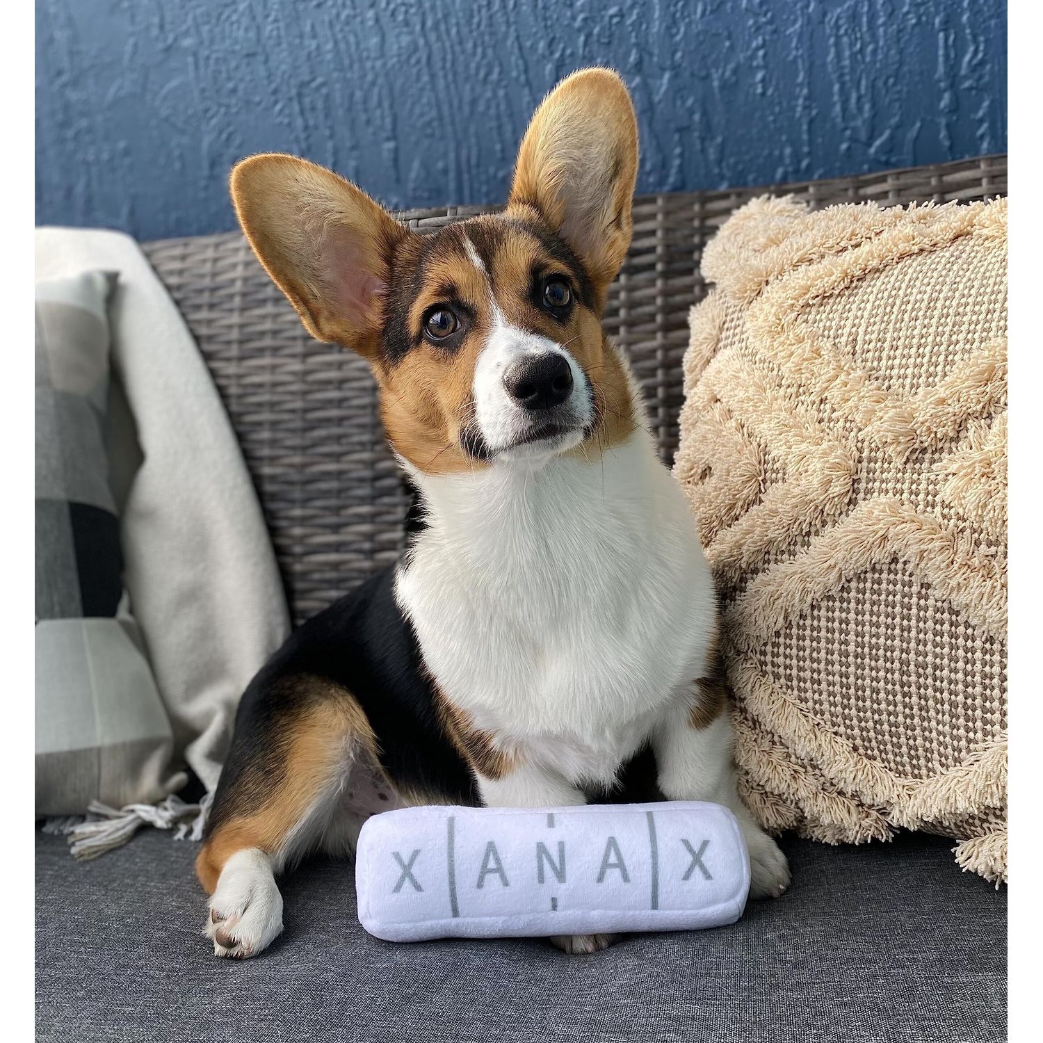 Nestpark Chill Pup Funny Dog Toy - Parody Plush Squeaky Crinkle Dog Toy