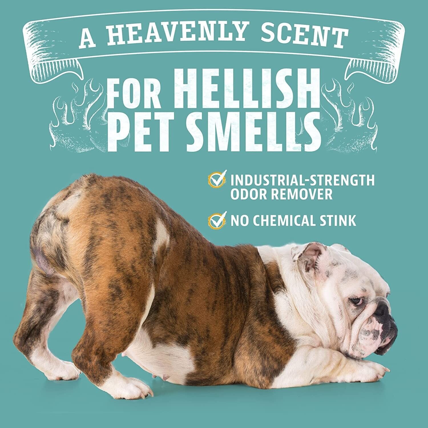 Pet Odor Eliminator for Home- 8oz Dog and Cat Pee Smell Remover for Carpet & Car
