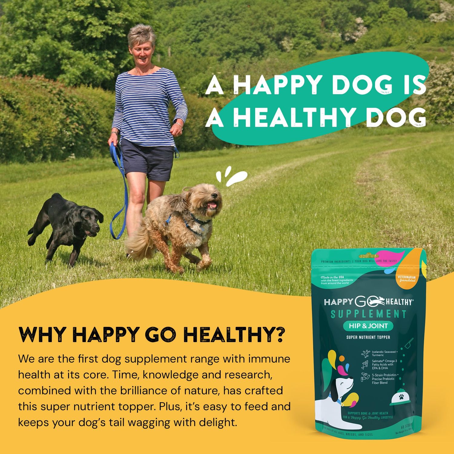Happy Go Healthy Hip & Joint Supplements for Dogs | Helps Joint Health & Mobility Support for Recovering and Senior Dogs | Natural Ingredients, Tasty Kibble Dog Food Topper | 60-Count Pack