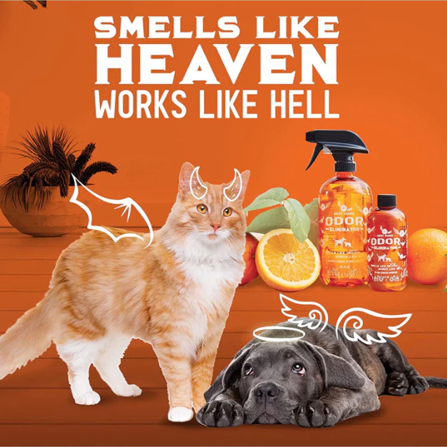 ANGRY ORANGE Pet Odor Eliminator Citrus Deodorizer Pet Dog Cat Large 24oz Spray