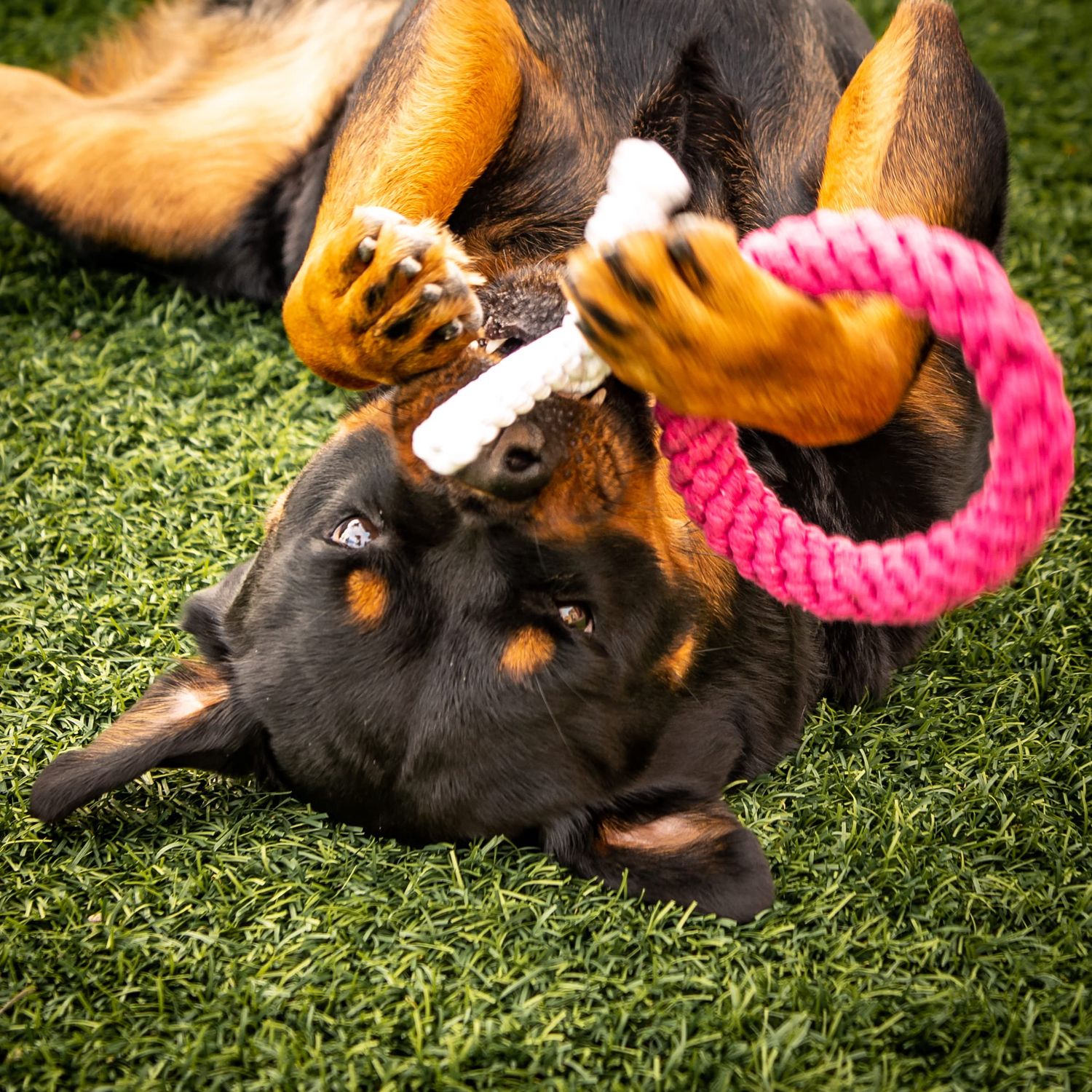Midlee XO Valentine's Rope Dog Toy