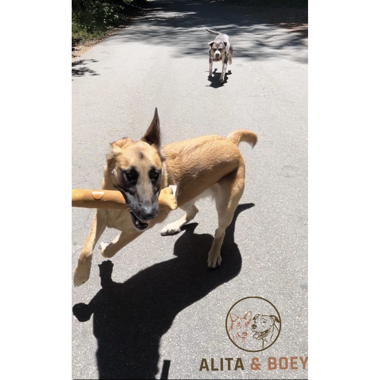 Tug Toy for Dogs- Training or Play - Made with Leather- Alita&Boey