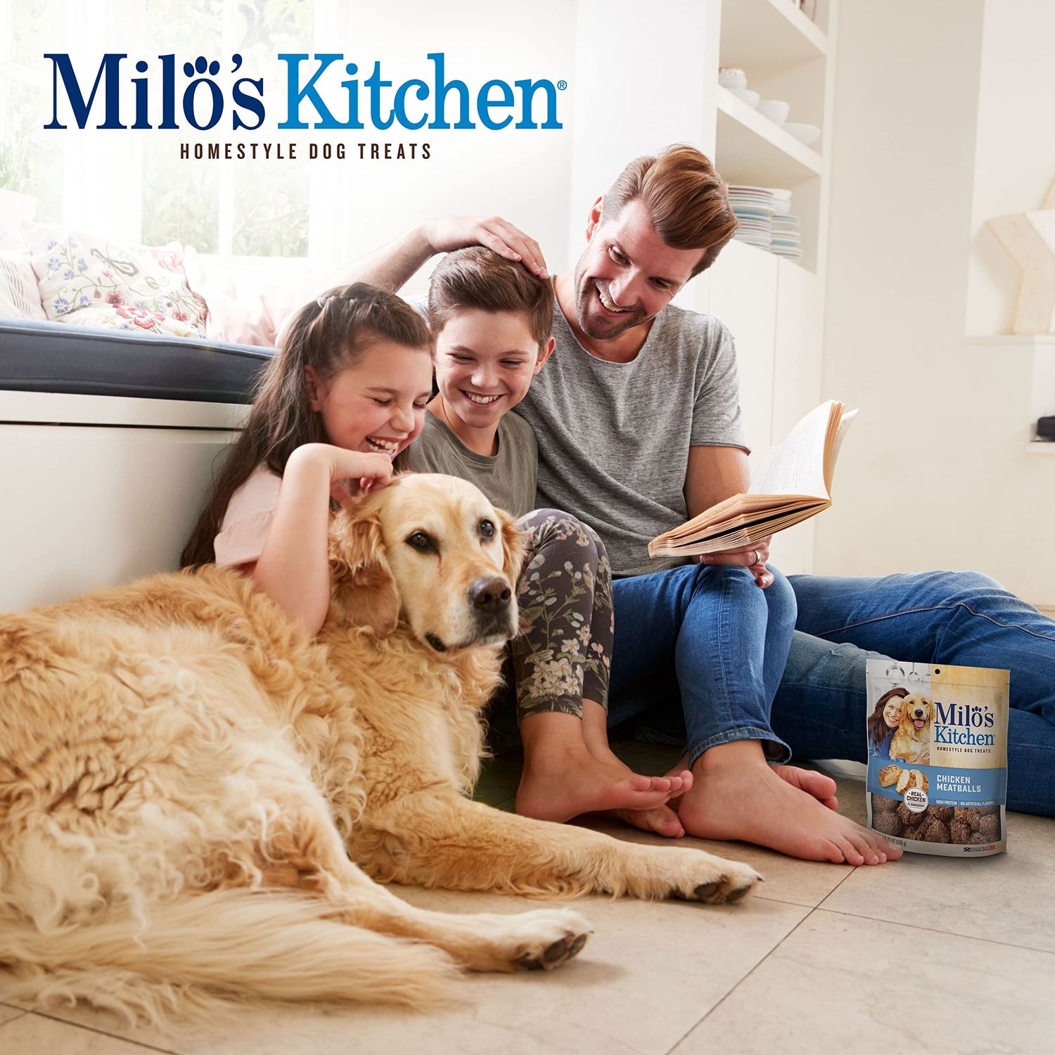 Milo's Kitchen Dog Treats, Chicken Meatballs, 18 Ounce