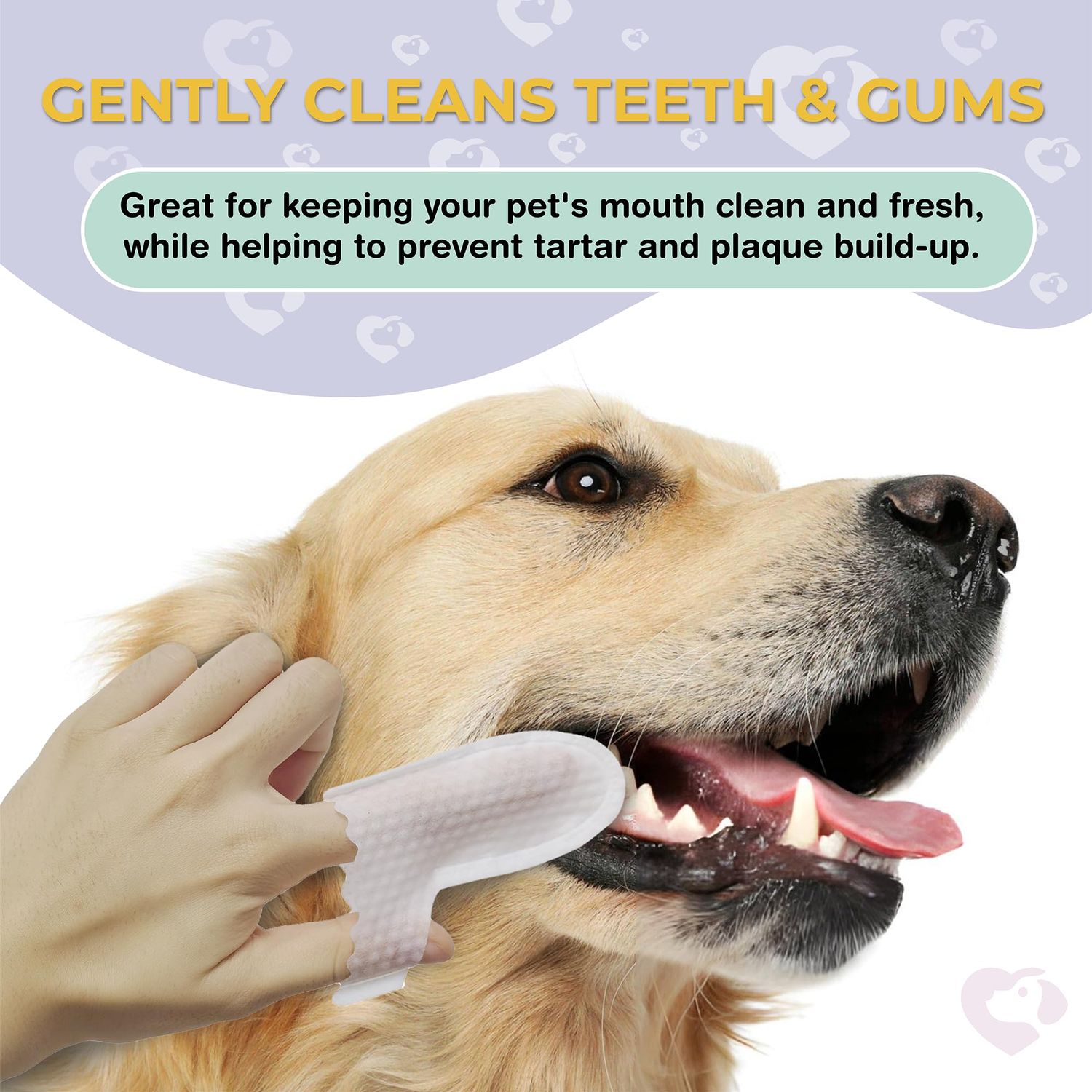 40 Dog Teeth Wipes - Dog Teeth Cleaning Products - Dog Dental Wipes - Teeth Cleaner for Dogs - Dog Tooth Cleaner - Dental Care for Dogs - Dog Tooth Brushing Kit - Dog Teeth Cleaning Kit - Dog Wipes