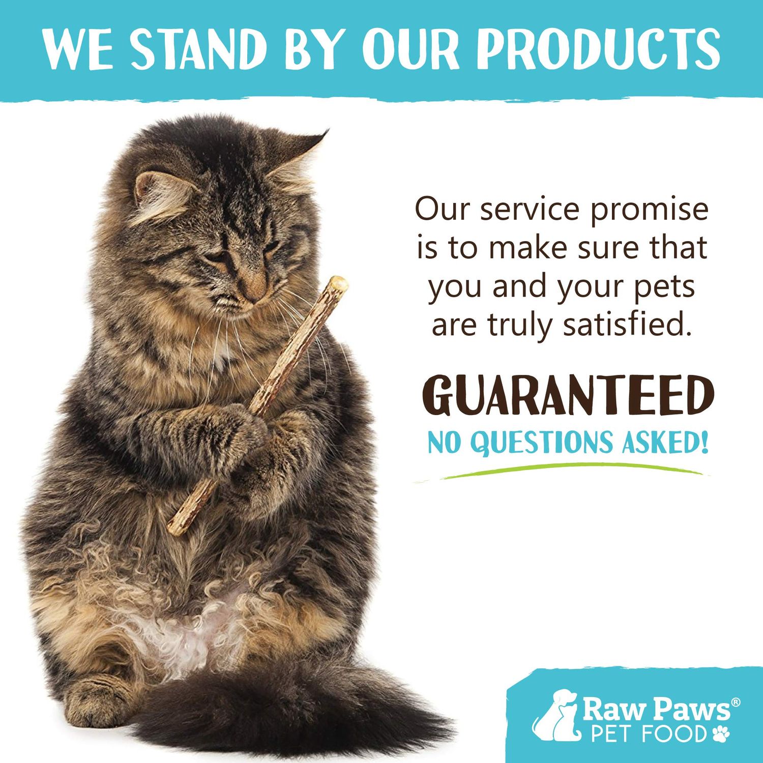 Raw Paws Silvervine Sticks, 30 ct - Silvervine Cat Toys for Indoor Cats - Catnip Sticks - Matatabi Cat Chew Stick - Silvervine for Cats, Silver Vine Sticks Cat Kicker Toy, Cat Toy Silvervine
