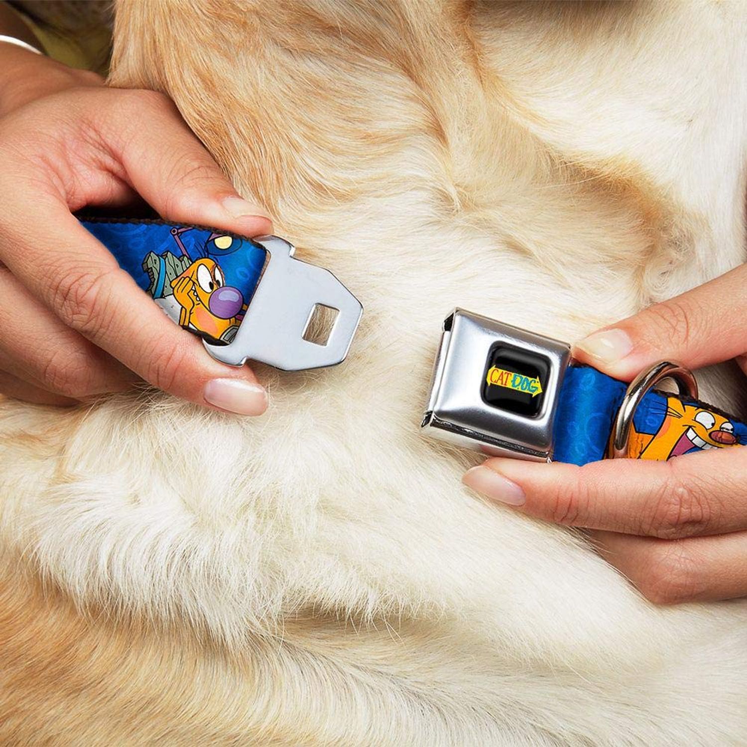 Buckle-Down Seatbelt Buckle Dog Collar - CatDog Hanging Out Poses Blue - 1.5" Wide - Fits 16-23" Neck - Medium