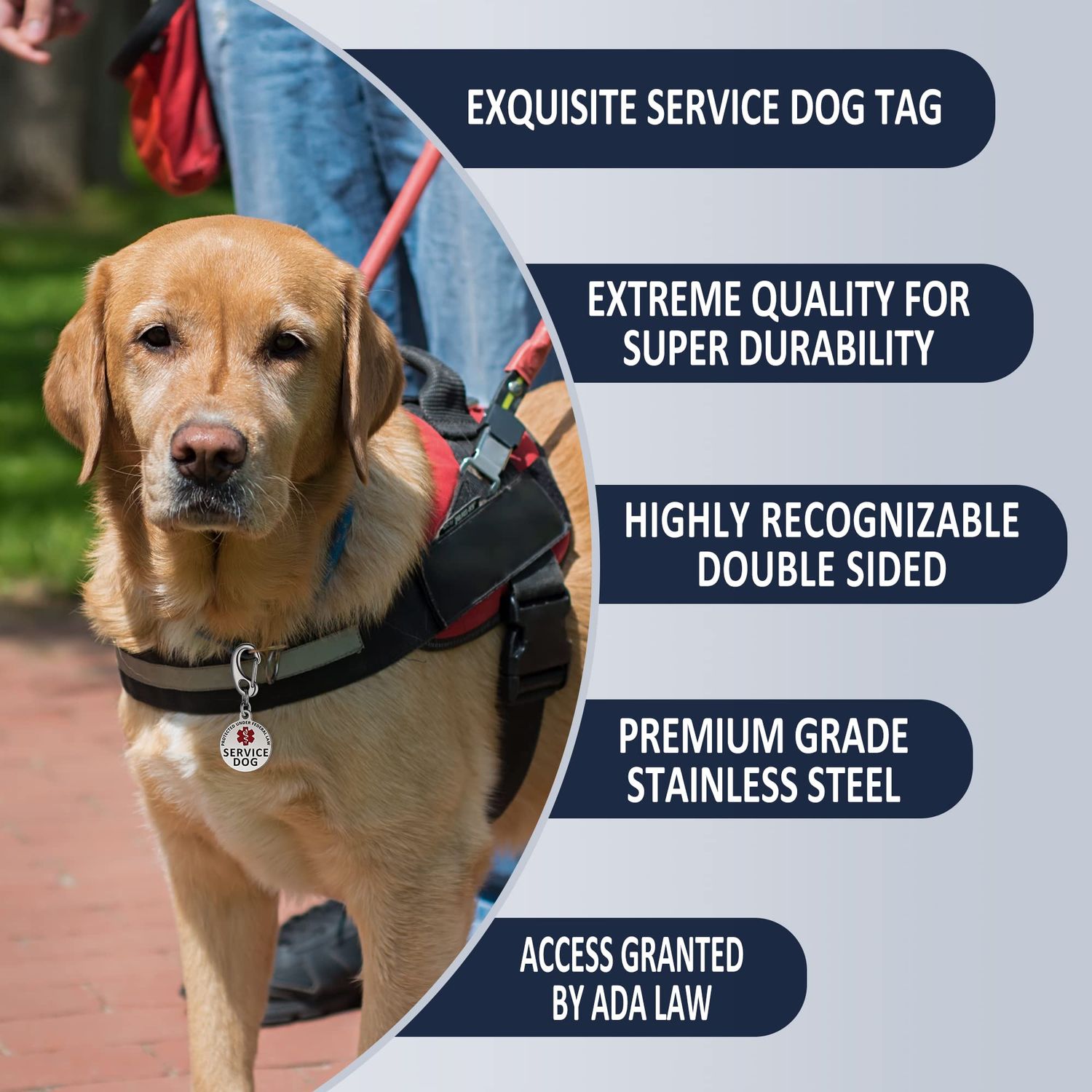 Leash King ESA Dog Tag Double Sided Federal Protection with Red Medical Alert Symbol Pet ID Tags 1.25 inch. Easily attach to Collar Harness Vest Dog Service Tag with 1.3" Solid Quick Clip – Polished