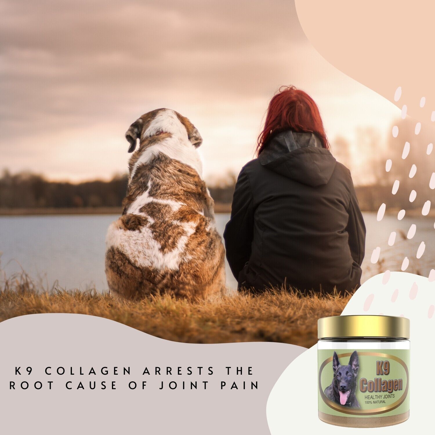 Collagen Hip-Joint Pet Dog Supplements Improve Mobility Health For 1 Month