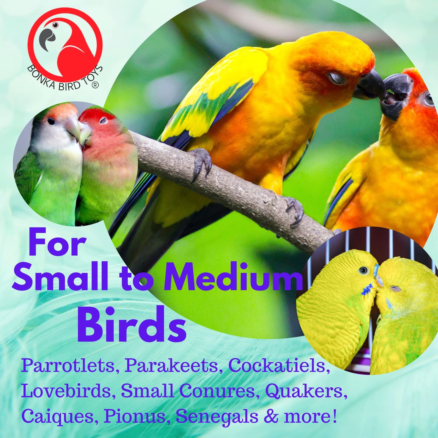 Bonka Bird Toys 2333 Sneaker Chain Chew Forage Shred Acrylic Rings Laces Aglets Cockatiel Parakeet Conure and Other Similar Sized Birds Made in The USA