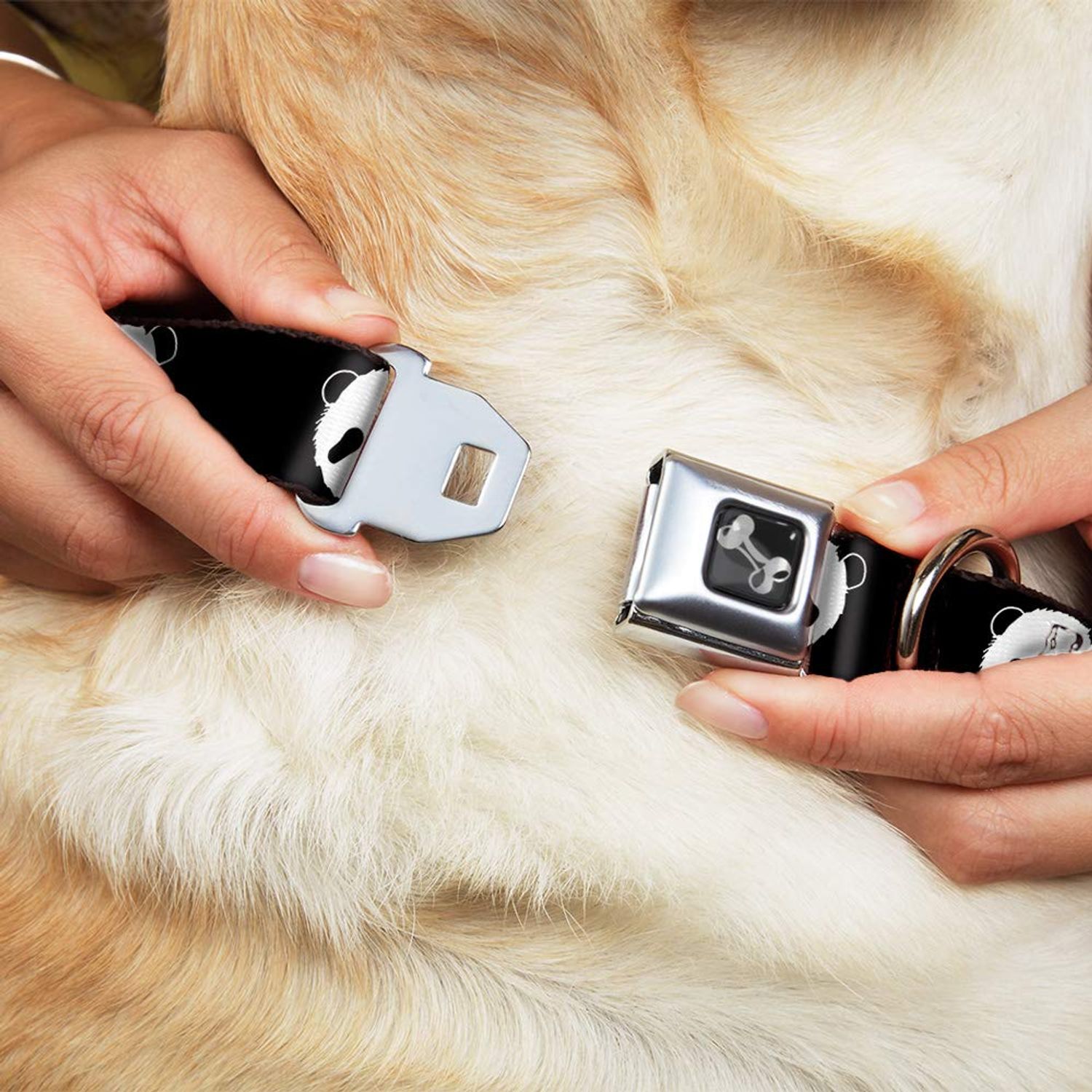 Buckle-Down Seatbelt Buckle Dog Collar - Panda Bear Repeat - 1.5" Wide - Fits 16-23" Neck - Medium
