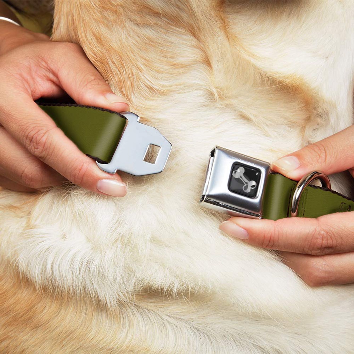 Dog Collar Seatbelt Buckle Olive 13 to 18 Inches 1.5 Inch Wide