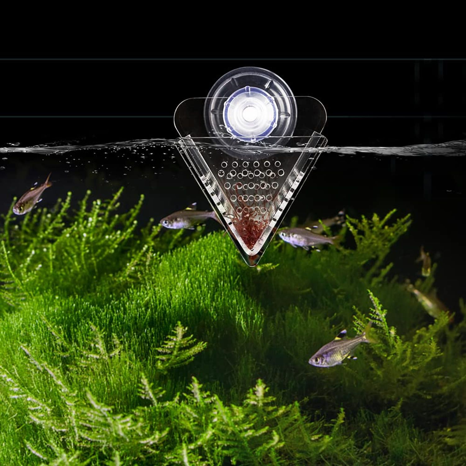 WEAVERBIRD Cone Red Worm Feeder Acrylic V-Shape Shrimp Fish Tank Feeding Cup with Suction Cup