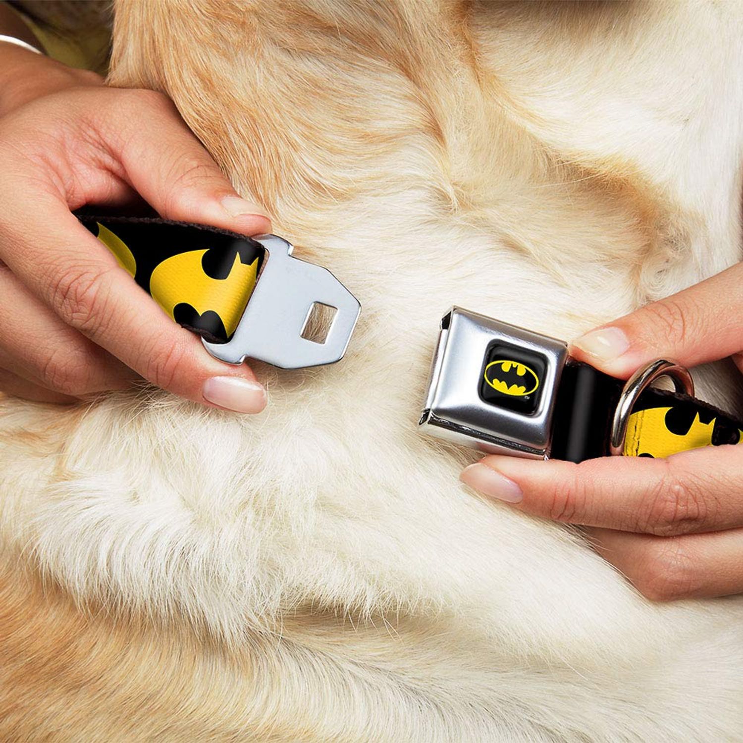 Buckle-Down Seatbelt Buckle Dog Collar - Bat Signal-1 Black/Yellow - 1.5" Wide - Fits 16-23" Neck - Medium