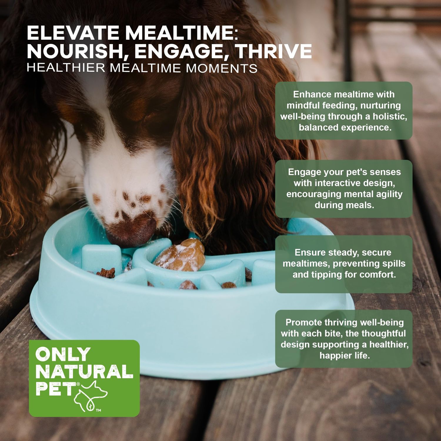 Only Natural Pet Sunup Slow-Feeder Dog Bowl - 50% Plant-Based, Eco-Friendly, BPA & Phthalate-Free, No-Slip Bottom & Handle Indentations, Dishwasher Safe, Small to Medium Dogs - Teal, Small 7.5" x 2"