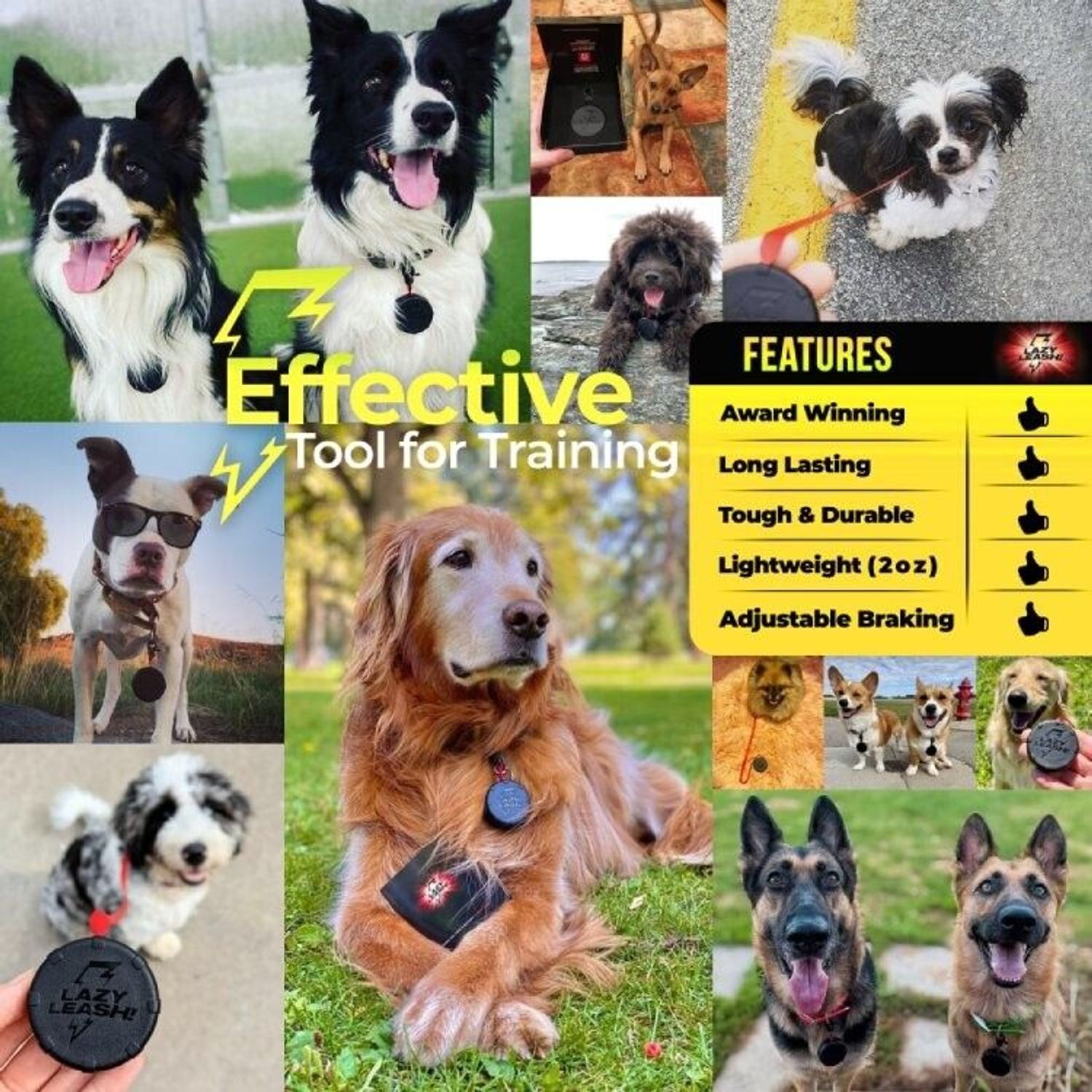 Tiger Paw + Freebie! Purple & Orange Mini Wearable Lightweight Clip-On Pet Leash