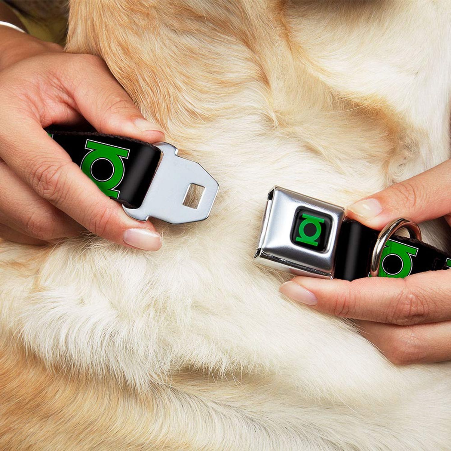 Buckle-Down Seatbelt Buckle Dog Collar - Green Lantern Logo Black/Green - 1" Wide - Fits 11-17" Neck - Medium