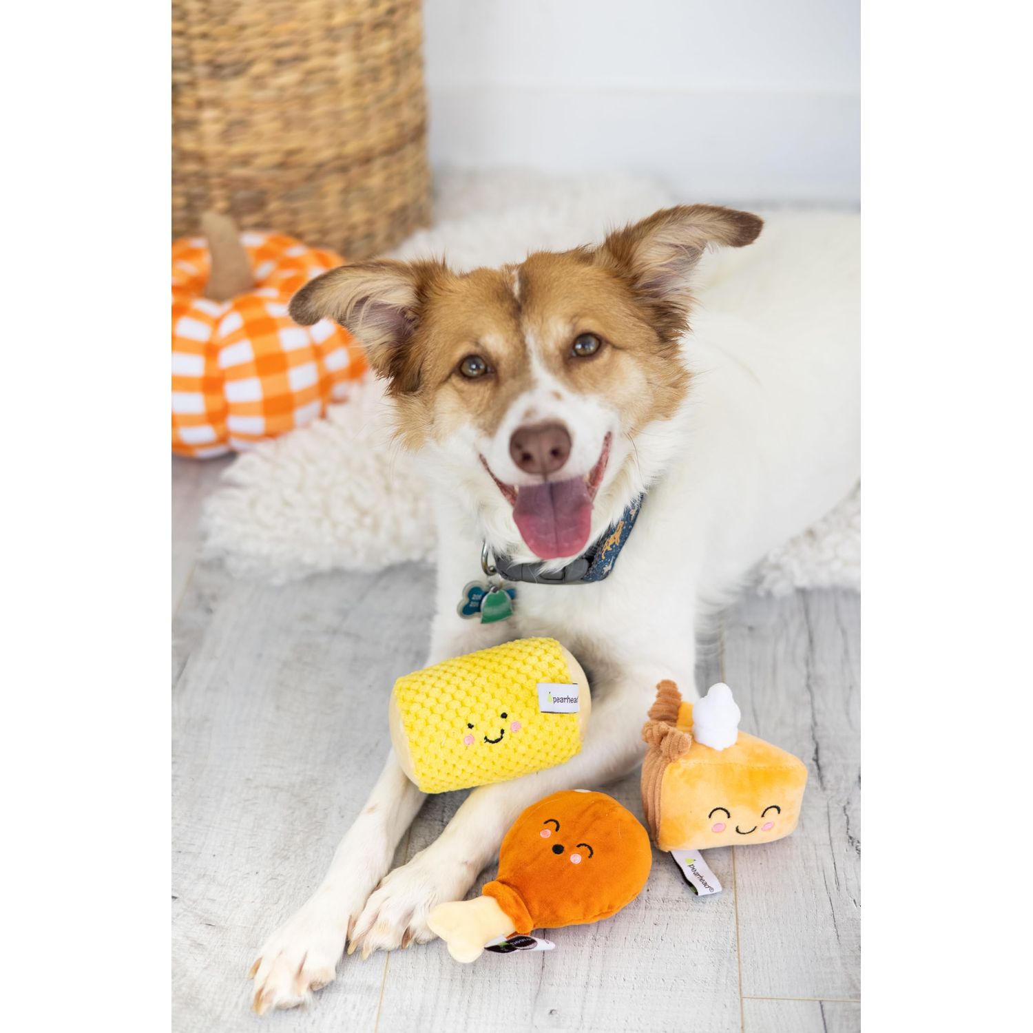 Pearhead Thanksgiving Dinner Dog Toys, Set of 3, Plush Dog Toys, Squeaky Dog Toy, Pumpkin Pie and Turkey Leg Toy, Fall Pet Toys