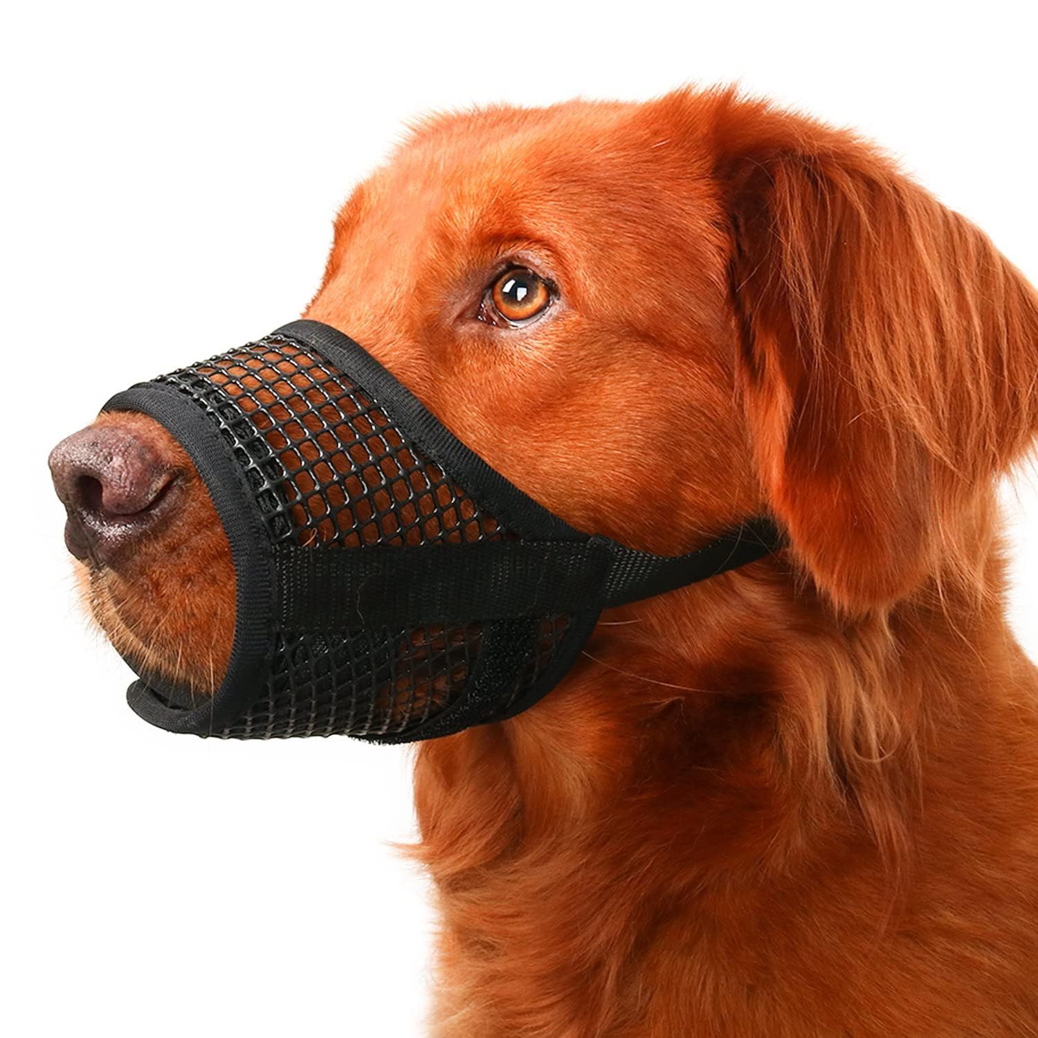 Dog Muzzle, Breathable Mesh Muzzles for Small Medium Large Dogs, Chihuahua Muzzle for Biting and Chewing, Adjustable Puppy Muzzle for Jack Russell Terrier, Dachshund, Beagle, Golden Retriever