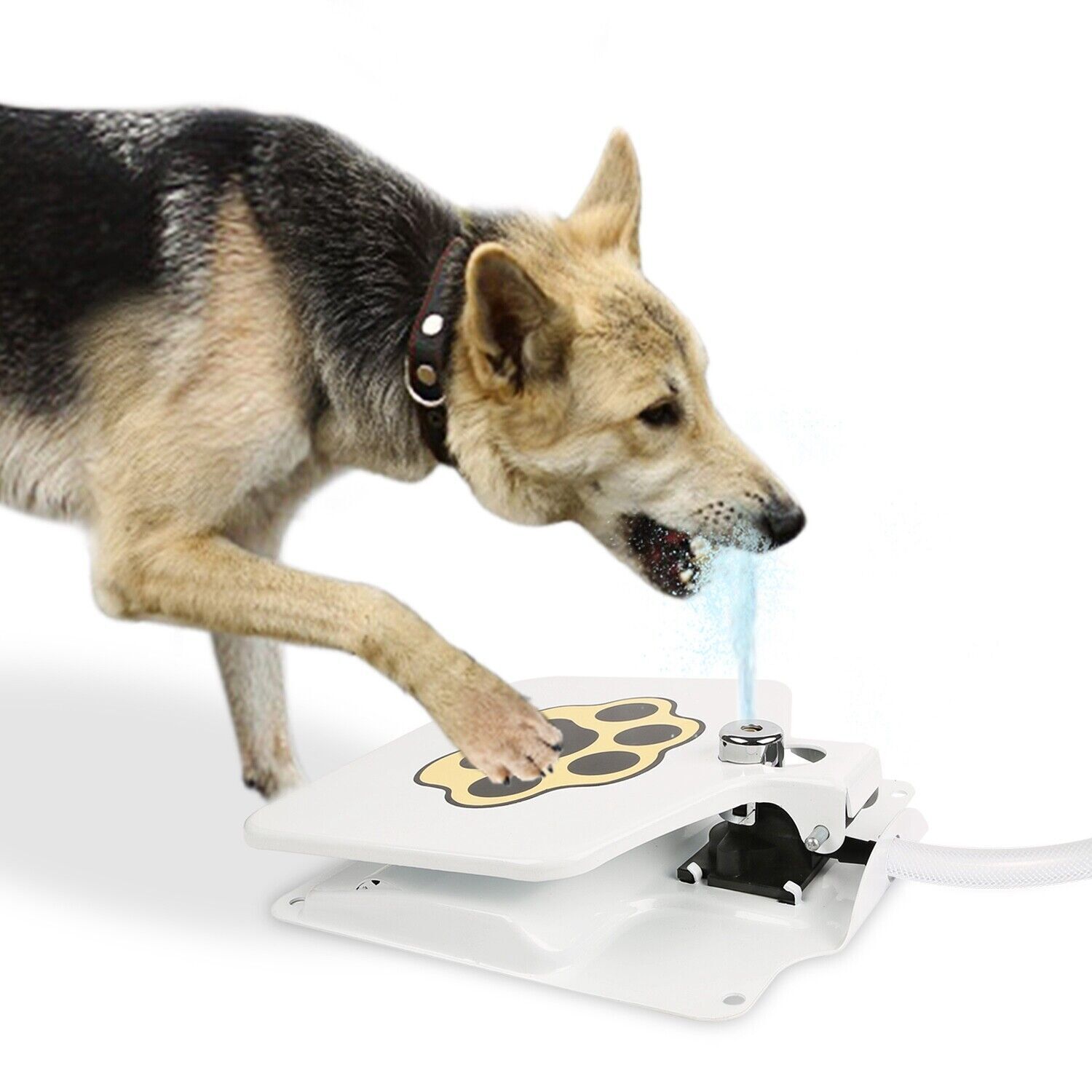 Dog Water Fountain Step-on Activated Sprinkler Toy for Drinking Fresh Water
