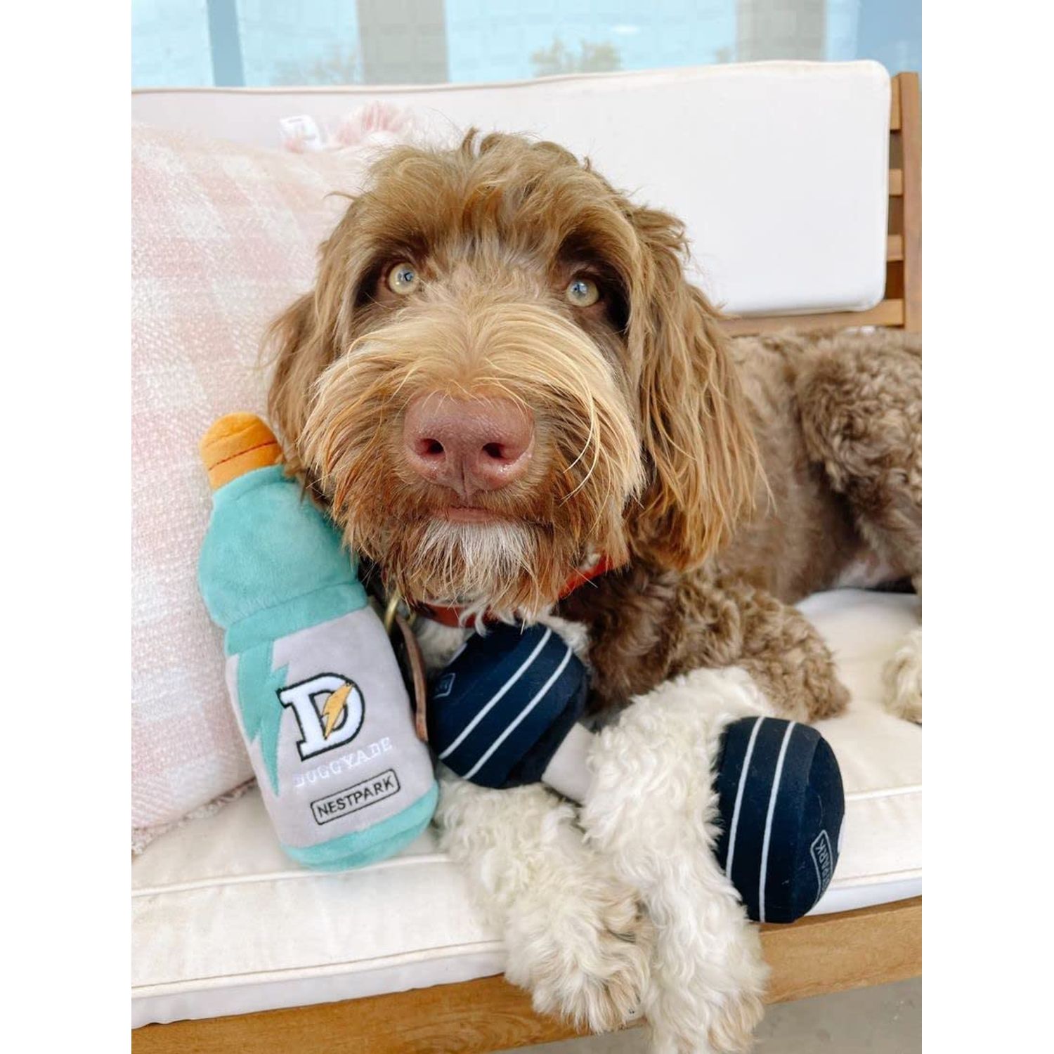 Nestpark Fitness Funny Dog Toys - Doggyade and Doggy Dumbbell Workout Parody Cute Dog Toys - 2 Pack (Workout Pack)
