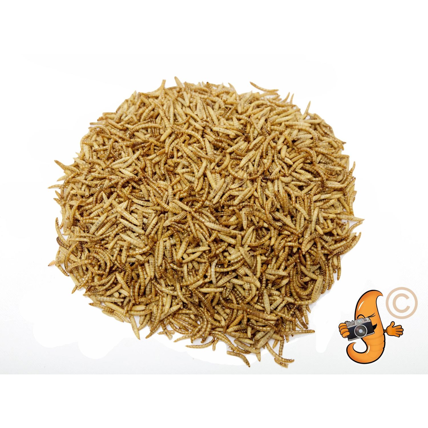 10lb  Chubby Mealworm & Black Soldier Fly Larvae Mix Chicken, Duck & Bird Treat