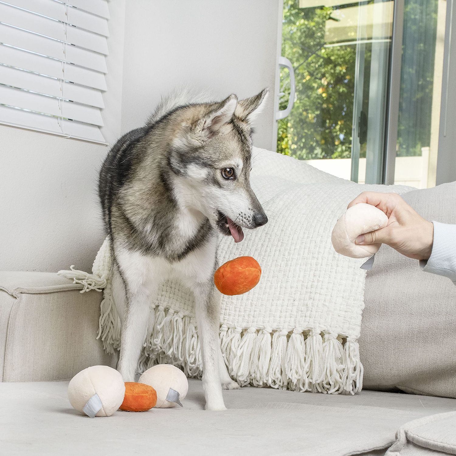 Midlee Matzo Ball Soup Plush Dog Toy