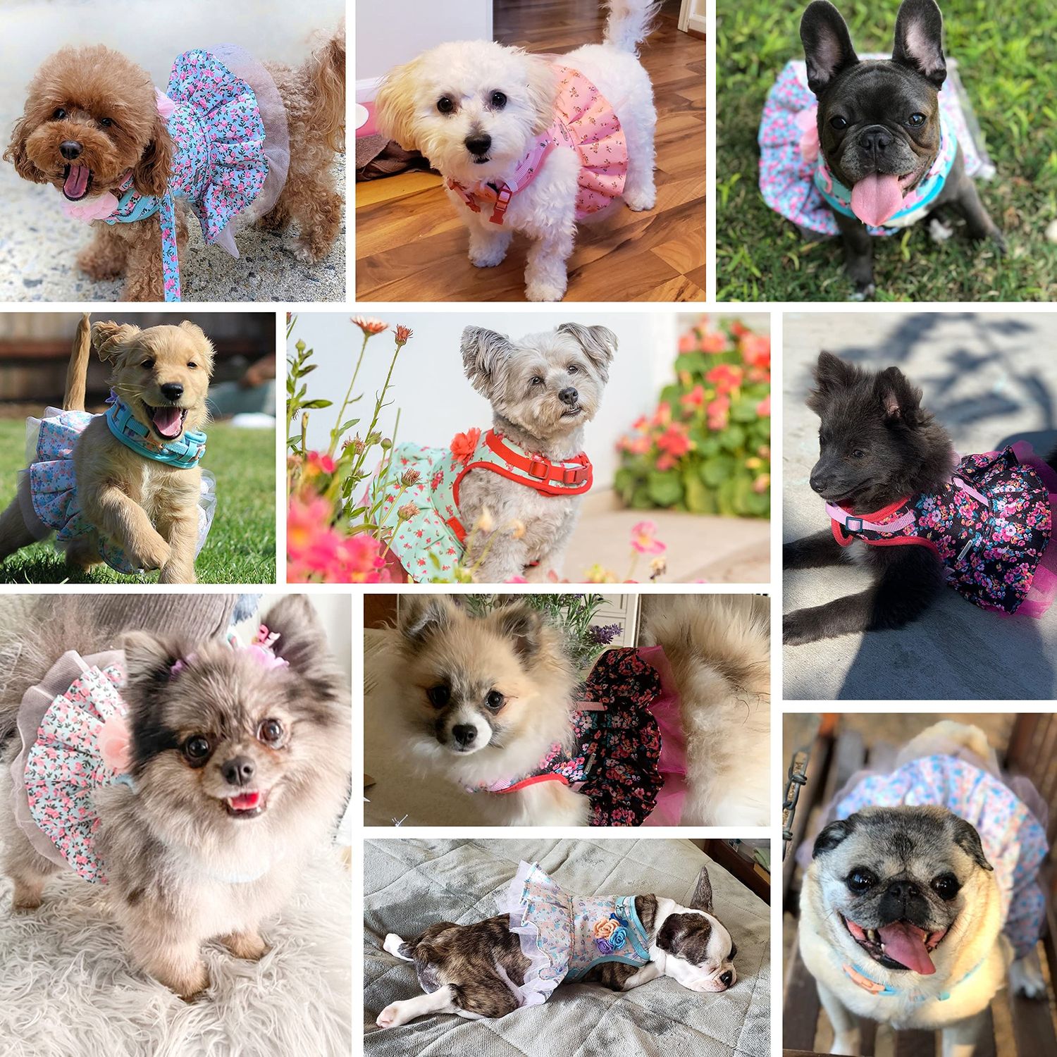 Blueberry Pet Soft & Comfy Spring Scent Inspired Floral No Pull Mesh Puppy Dog Costume Harness Dress, Turquoise, Chest Girth 14"-16", X-Small, Adjustable Harnesses for Dogs