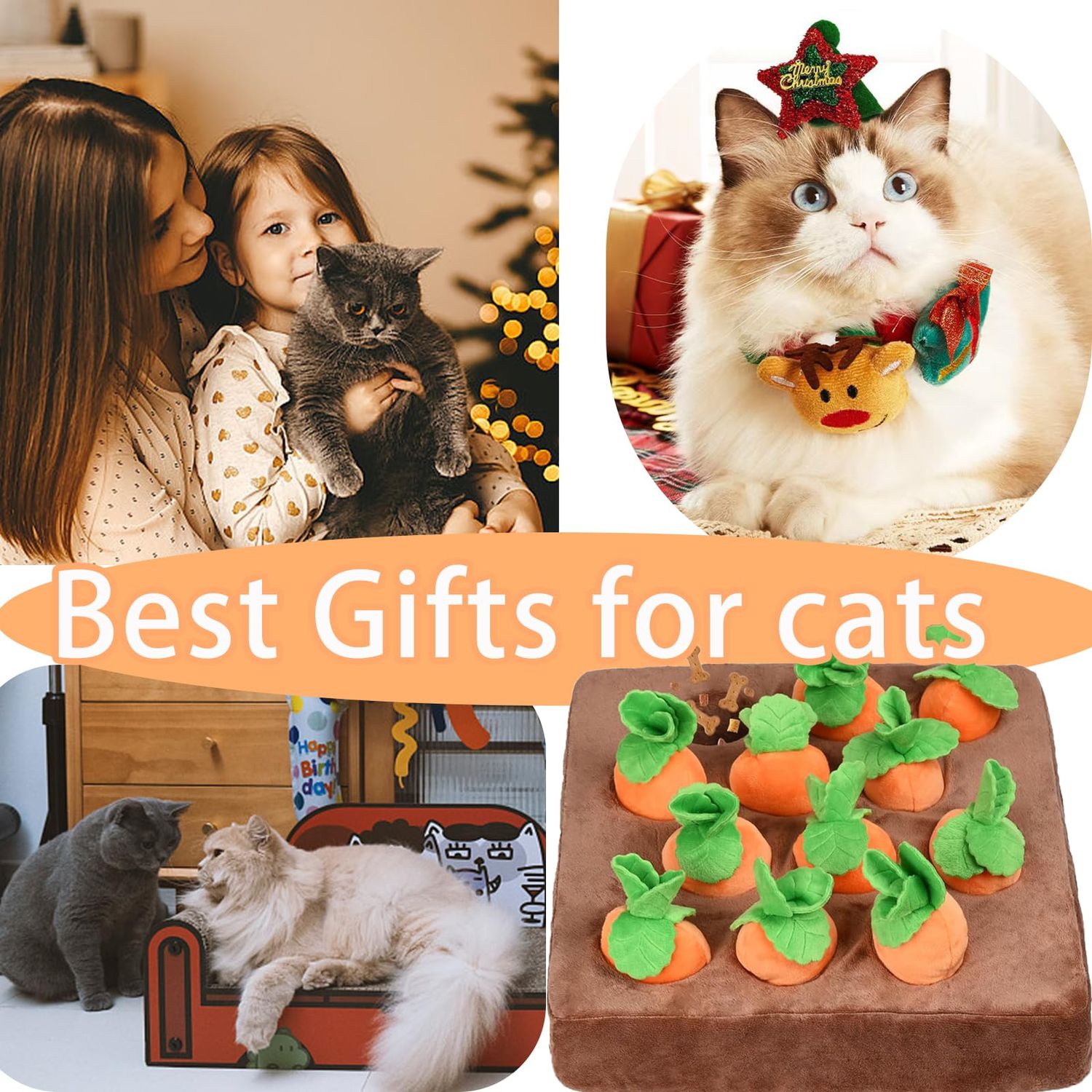 Risbang Carrot Cat Treat Puzzles for Indoor Cats, Interactive Cat Enrichment Toys for Bored Indoor Adult Cats Hanging Cat Toys Pack Bulk Kicker Nip Toy 12 Squeaky Plush Carrots